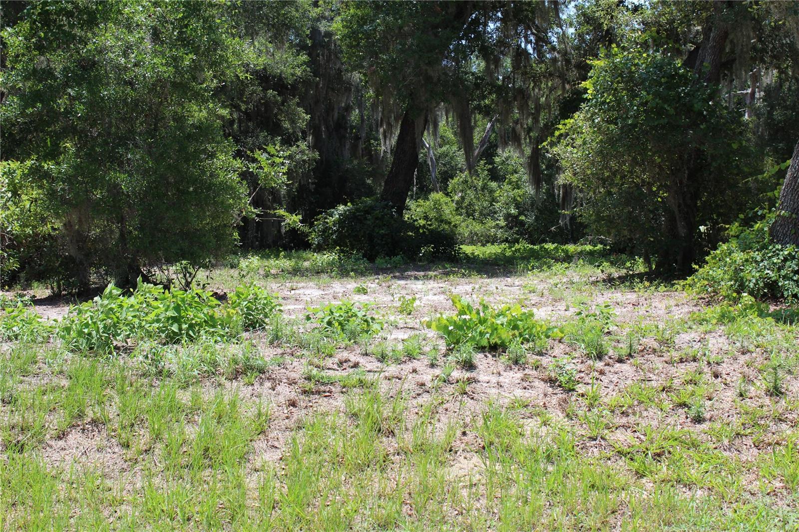 CLEARWATER RESERVE - Land
