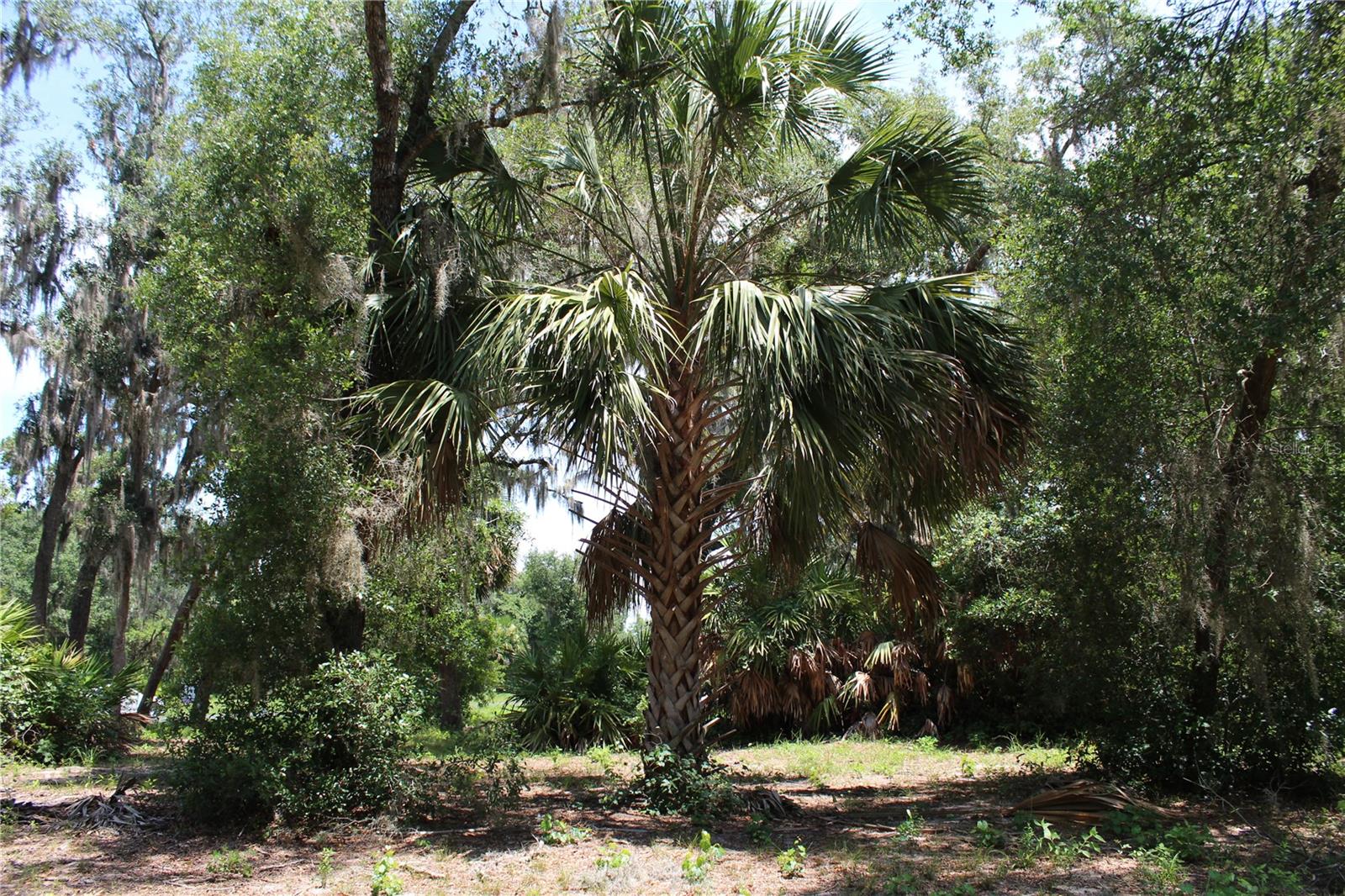 CLEARWATER RESERVE - Land
