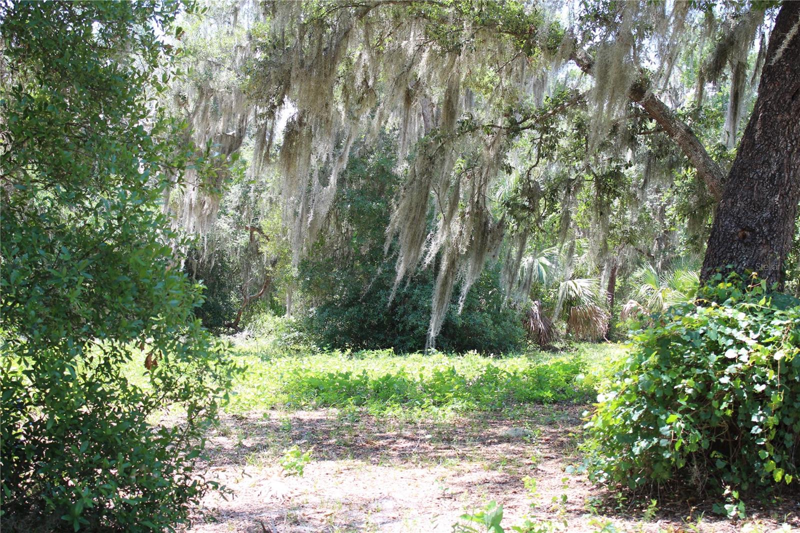 CLEARWATER RESERVE - Land