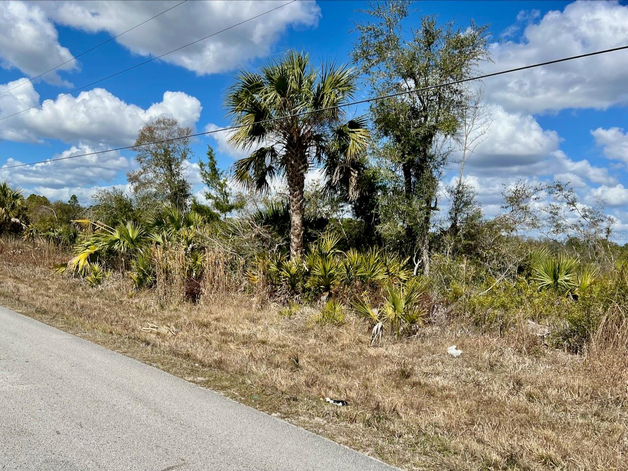 This exceptional 50-acre parcel presents a rare opportunity to own a large tract of cleared land in a peaceful coastal setting. The property is  populated with an abundance of mature palms and native oak trees, creating a scenic and open natural landscape along paved Shiloh Road.

Positioned just one-third of a mile from State Road 24, the location offers a perfect balance of accessibility and privacy.  Easy to get to while still maintaining a quiet, tucked-away feel. Just minutes away from one of Florida’s most unique and beloved coastal communities, located a little over five miles from the historic island of Cedar Key.

Cedar Key is known for its outstanding inshore and offshore fishing, its collection of quaint shops and local art, and its relaxed, laid-back atmosphere. Golf cart friendly community is famous for its little neck clams, widely regarded as some of the best in the country, along with a variety of restaurants that showcase fresh, local seafood.

This versatile acreage lends itself to a wide range of possibilities, whether you envision a recreational retreat, agricultural use, or a future development opportunity. With ample space, natural beauty, and a highly desirable location, the property offers the perfect foundation to create something truly special.

Whether you are looking for a peaceful getaway, a long-term investment, or a place to build your dream home, this property captures the essence of Florida’s Nature Coast. Make this your private oasis in the southwest corner of Levy County.