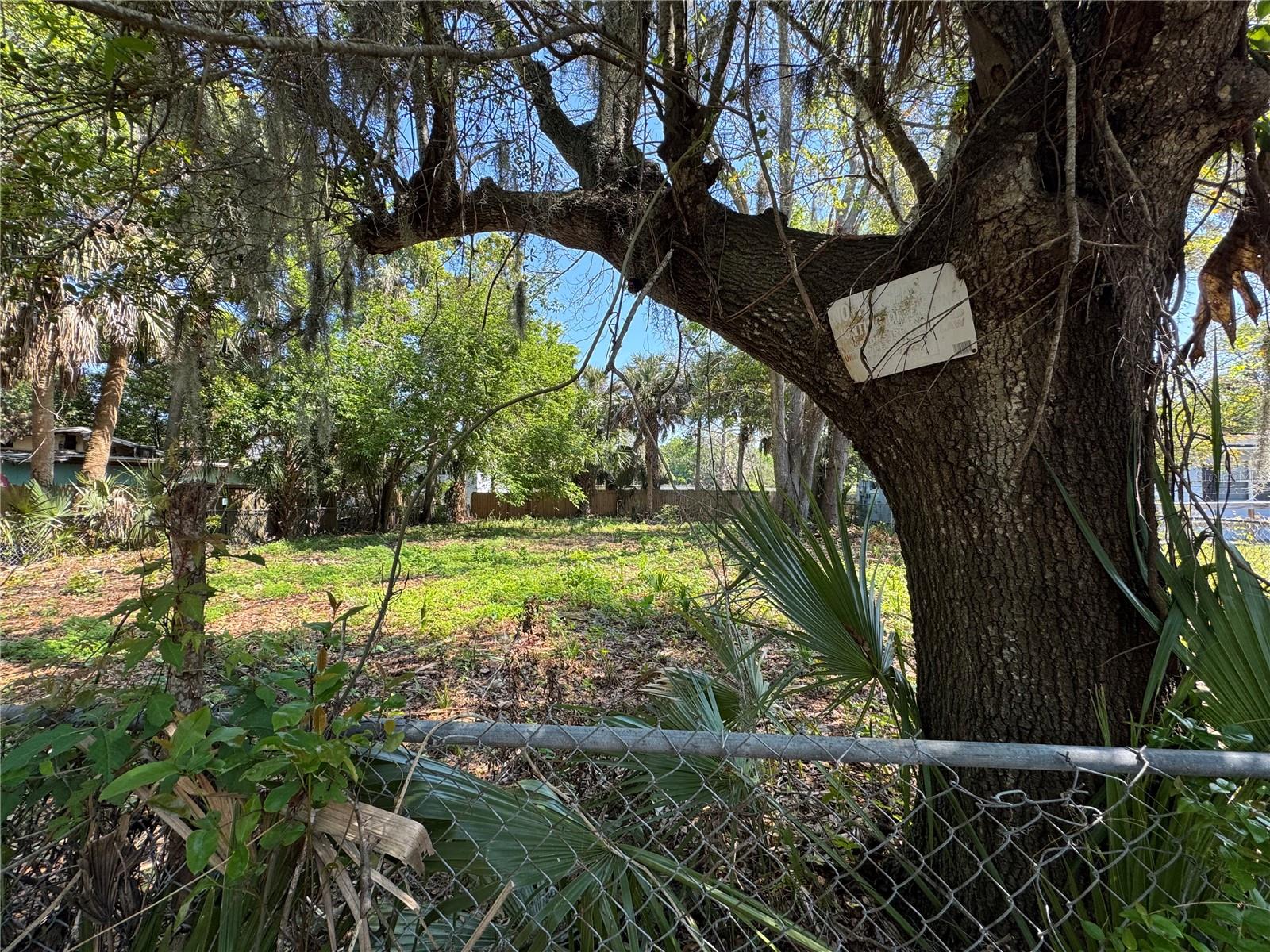 OSCEOLA PARK - Land