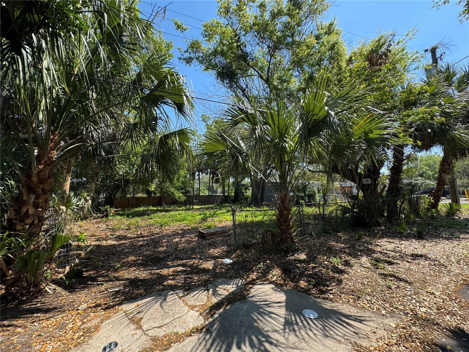 OSCEOLA PARK - Land