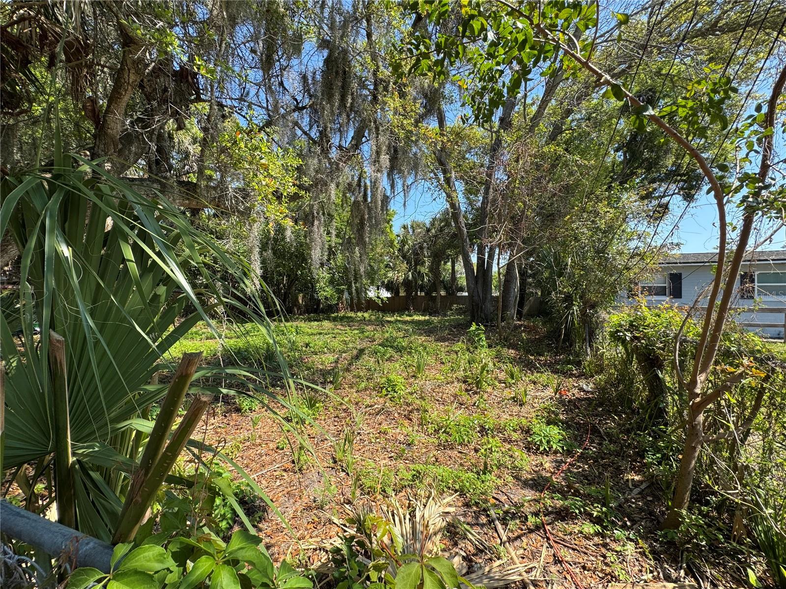 OSCEOLA PARK - Land