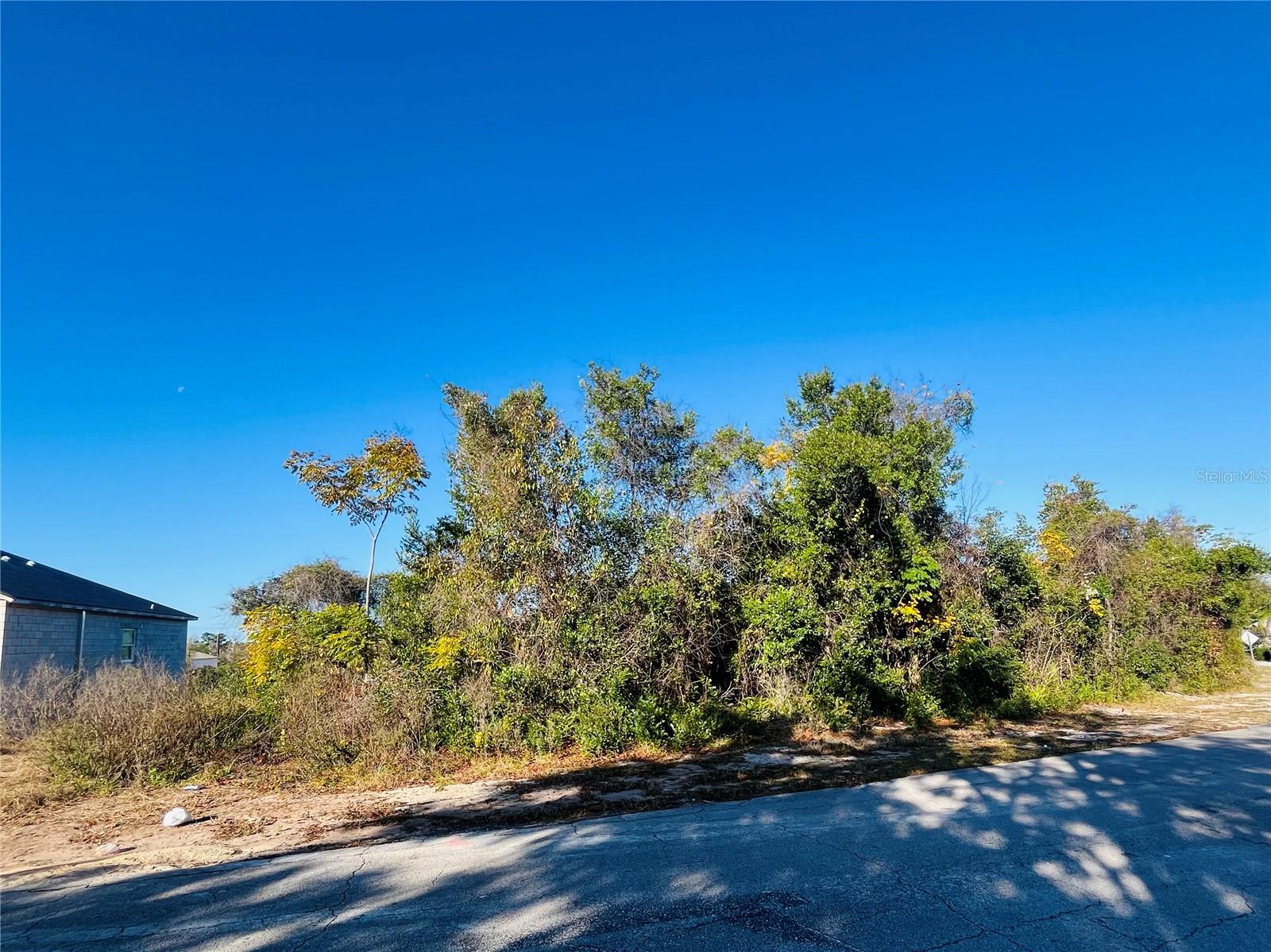 Discover a truly unique opportunity to own a vacant lot with coveted elevated views ....which we all know is uncommon here in Florida. Behind this homesite is a gentle slope down toward city-owned land directly behind, enjoy the privacy of no rear neighbors and peaceful, unobstructed views.  Get that country feeling all while conveniently located close to shopping, amenities and highways. Only 30 minutes to the beach and 40 minutes to the attractions.