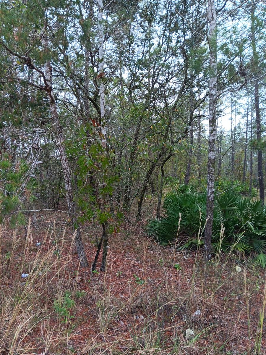 EIGHTEEN OAKS UNREC SUB - Land