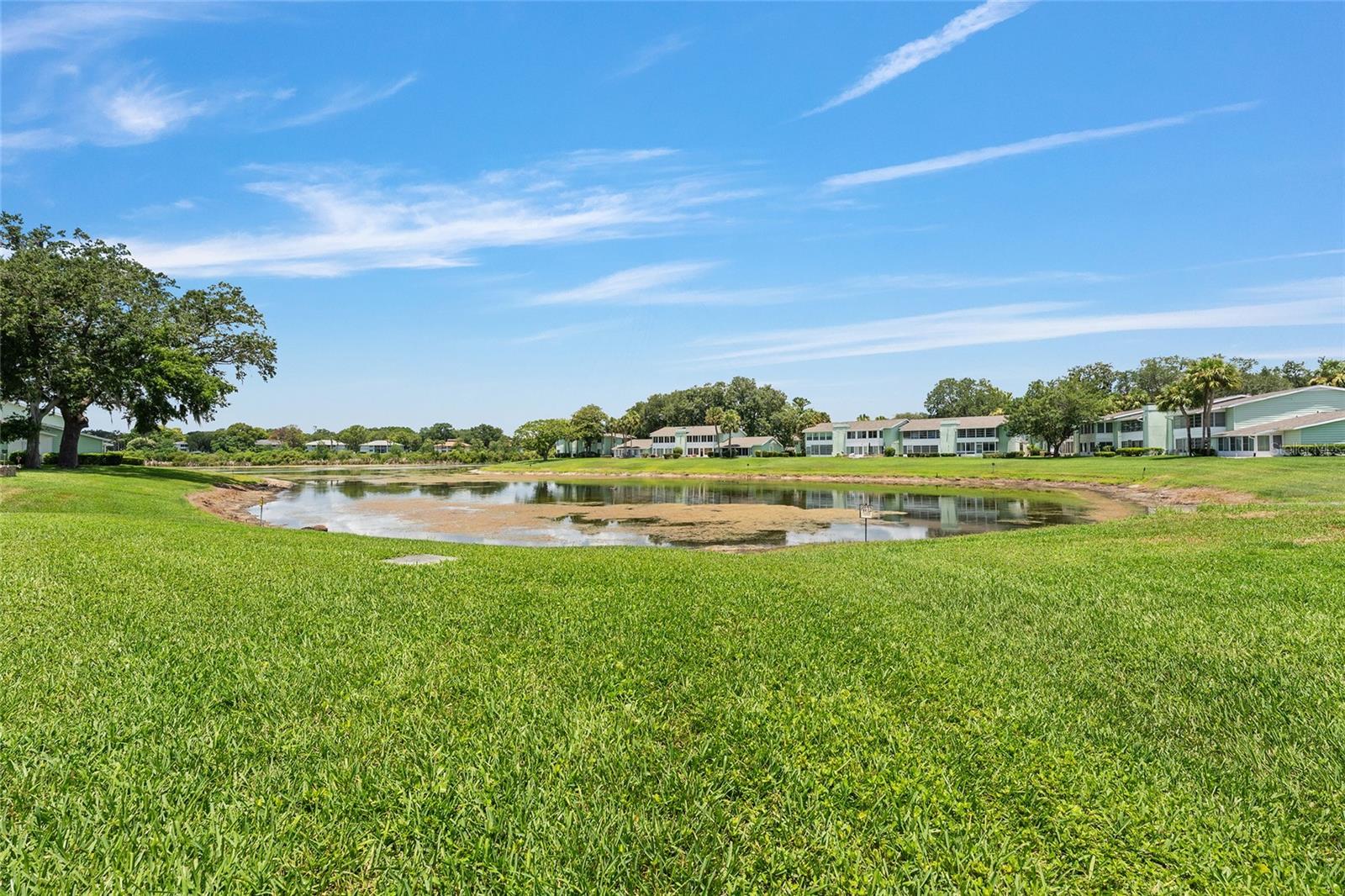 LIVE OAK VILLAGE CONDO - Residential