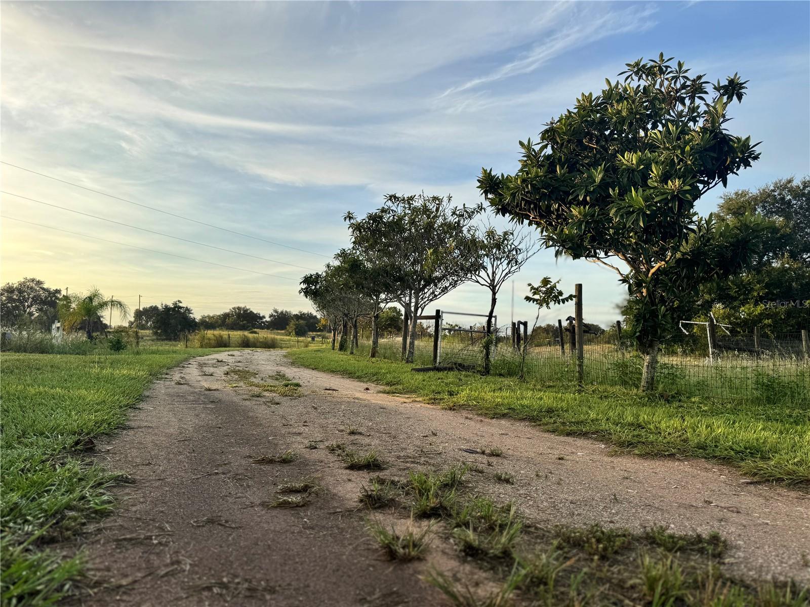TIGER CREEK GROVES - Residential