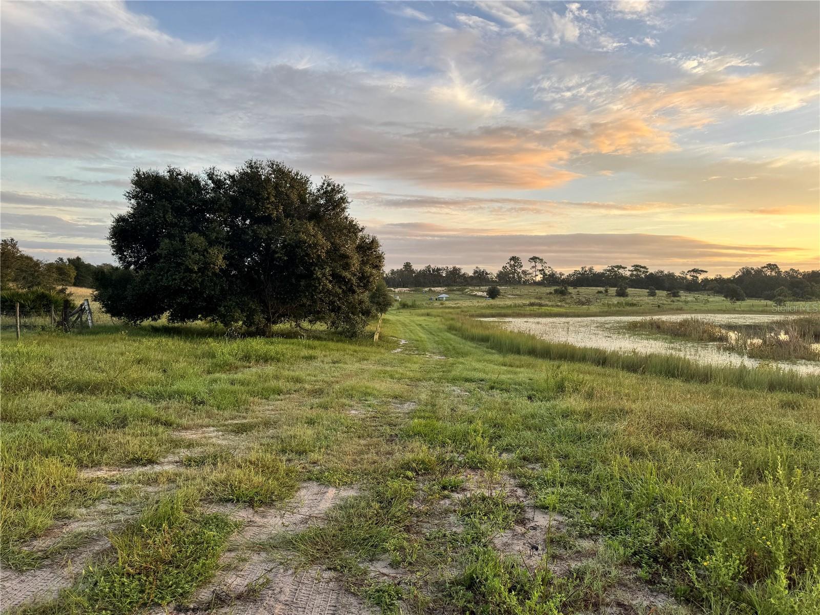 TIGER CREEK GROVES - Residential