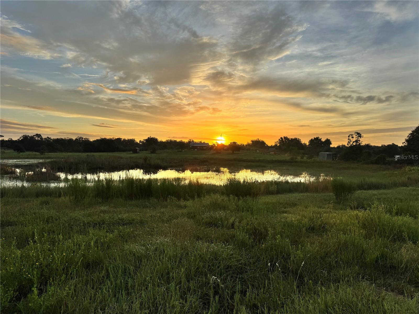TIGER CREEK GROVES - Residential