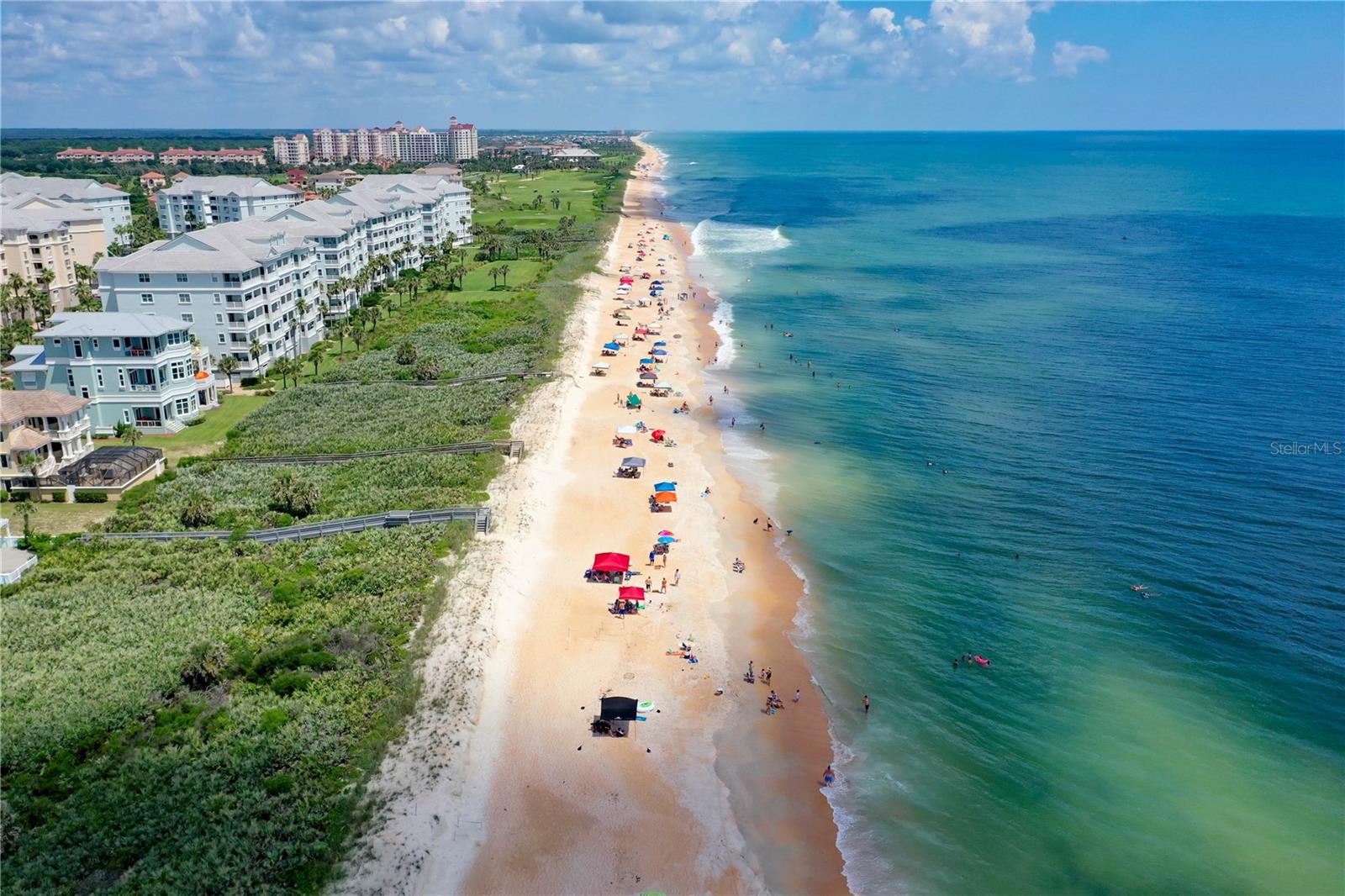 OCEAN HAMMOCK - Residential