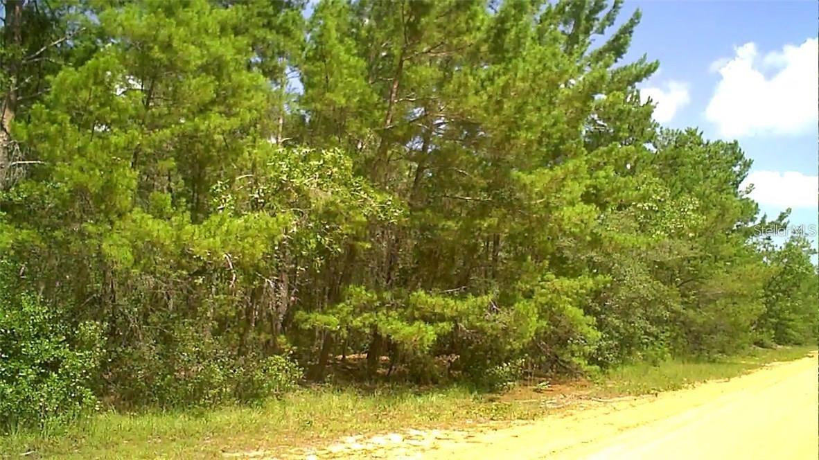 Looking for rural land in Florida? Interlachen has it and offers nearby lakes and ponds. Build your Florida Dream Home. Open Builder.