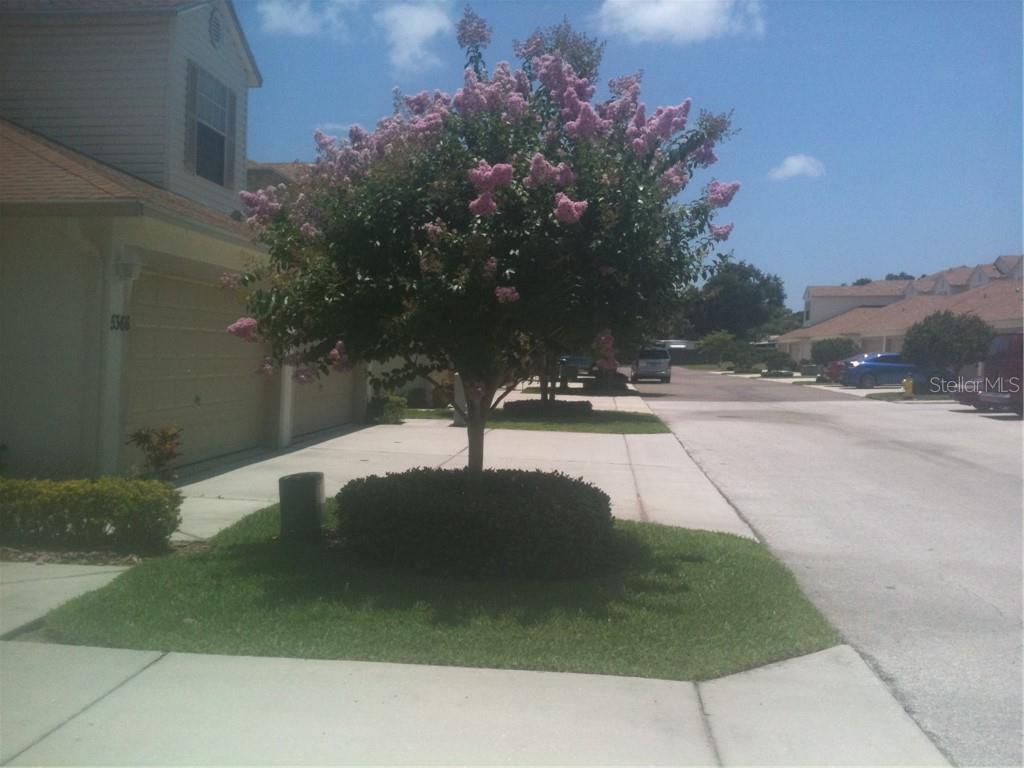 HERITAGE OAKS TWNHMS - Land