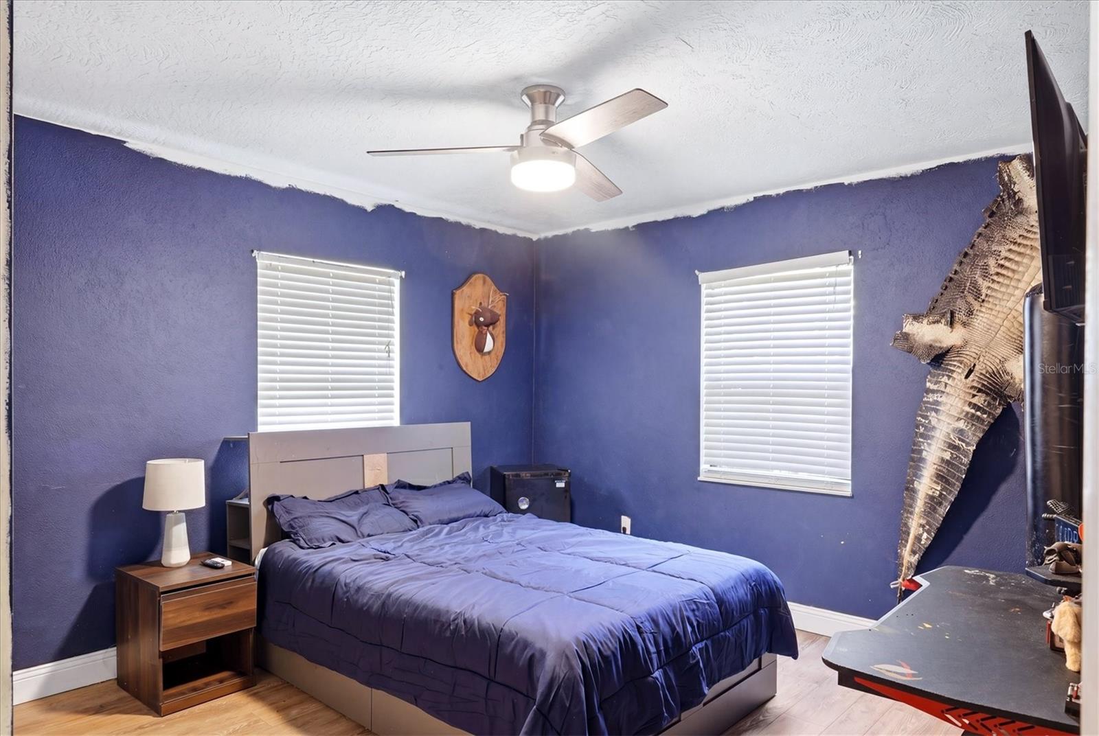 BRADEN PINES - Residential