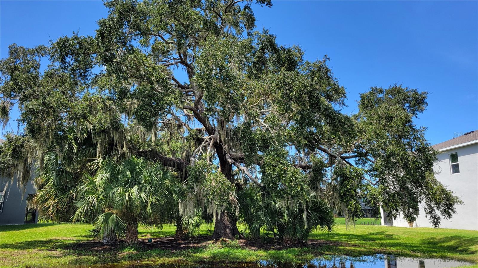 PROMENADE EAST - Residential Lease