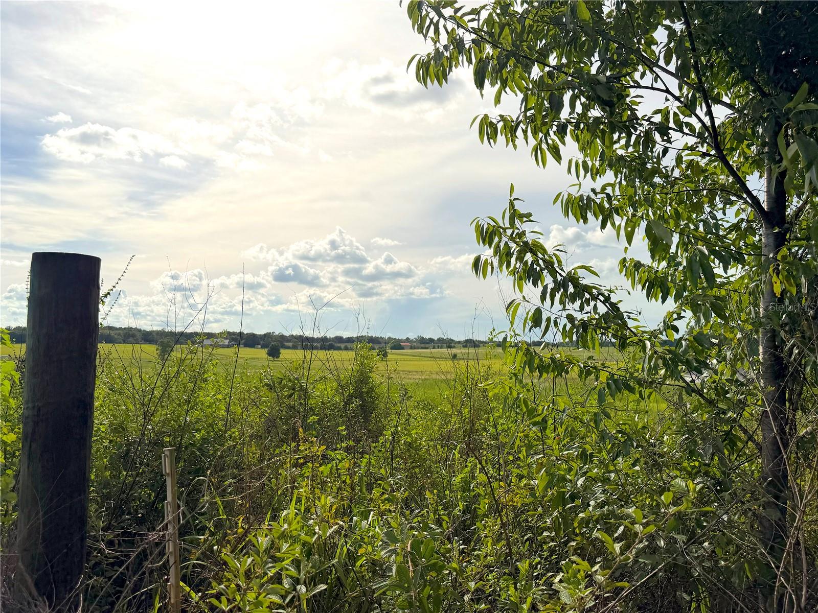 MEADOW RIDGE RANCHES - Land