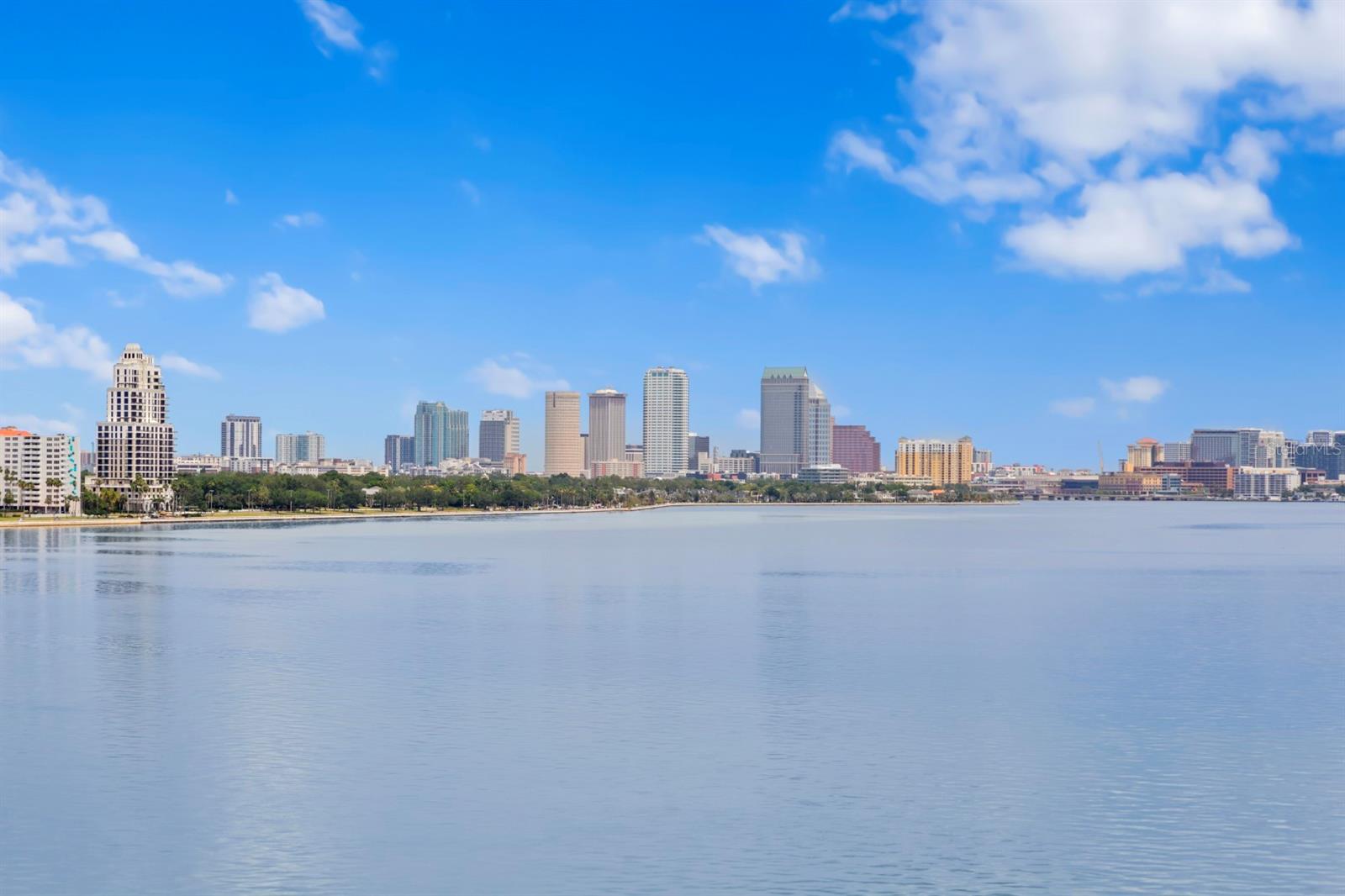 VIRAGE BAYSHORE - Residential