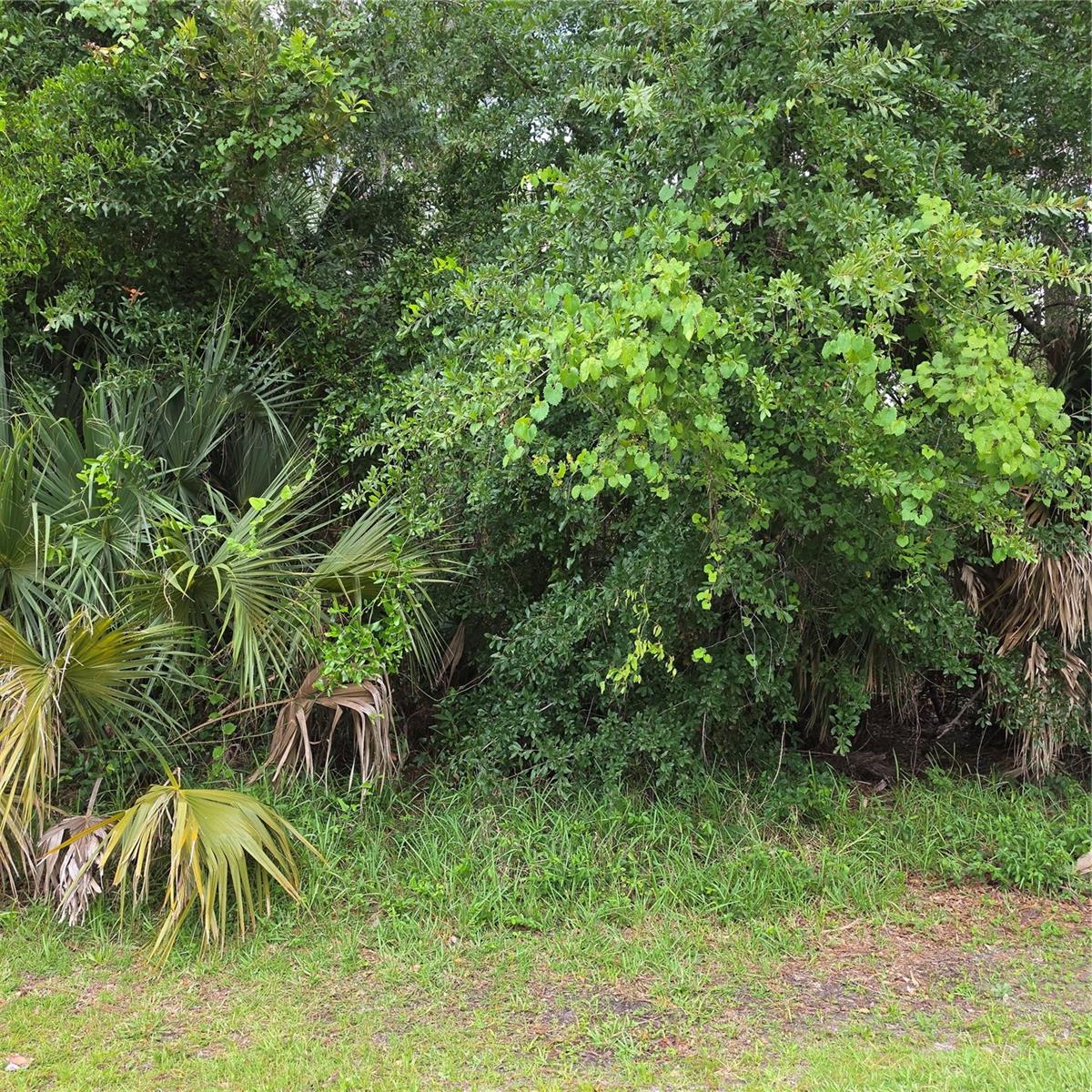 PALM COAST/WYNNFIELD SEC 18 - Land