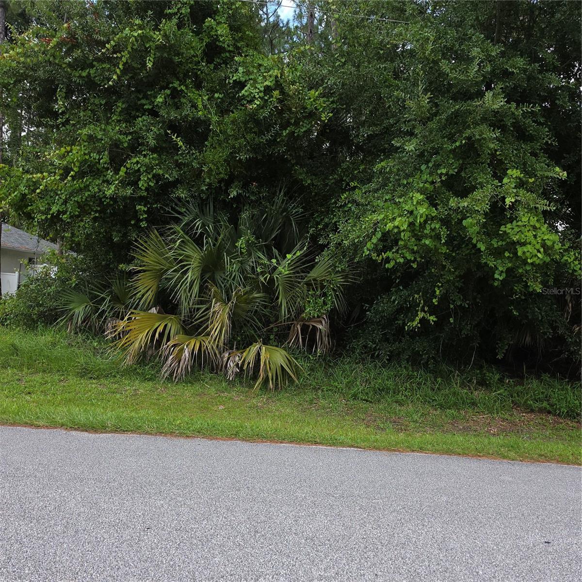 PALM COAST/WYNNFIELD SEC 18 - Land
