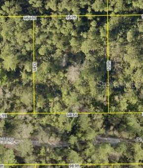 Discover the potential of this beautiful vacant land parcel located in the growing DeLand area of Volusia County. Situated within the Daytona Park Estates community, this approximately 0.27-acre homesite offers a peaceful, rural setting while remaining conveniently accessible to State Road 44, downtown DeLand, shopping, dining, and area attractions. The property features a lightly wooded landscape that provides privacy and flexibility for future development. Whether you're looking to invest in Florida land, or secure a property for future use, this parcel presents an affordable opportunity in one of Central Florida's expanding markets. Enjoy the tranquility of the countryside with easy access to major roadways, nearby parks, and the natural beauty that Volusia County is known for. Buyer should verify zoning, land use, utility availability, and building requirements with Volusia County. Approximately 0.27 acres.