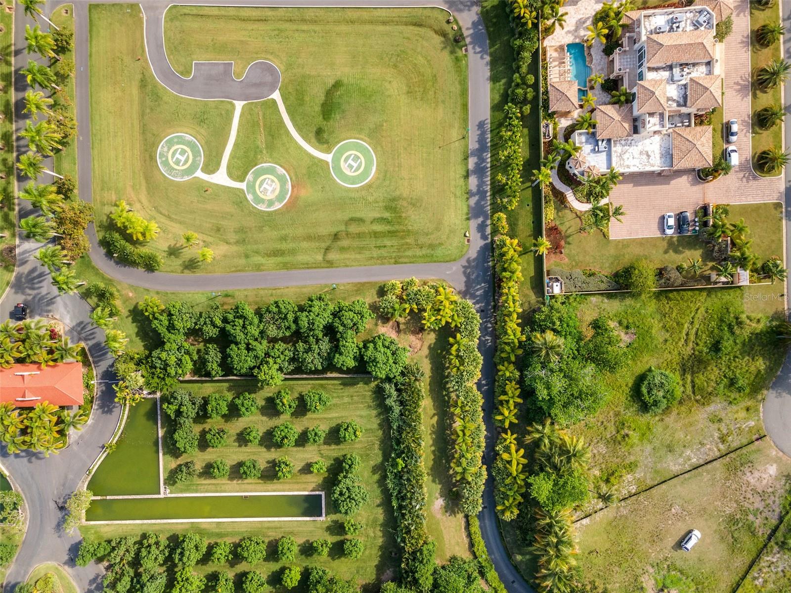 DORADO COUNTRY ESTATES - Land