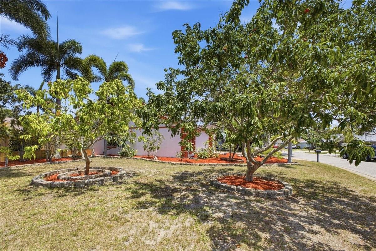 BRADEN RIVER LAKES PH II - Residential