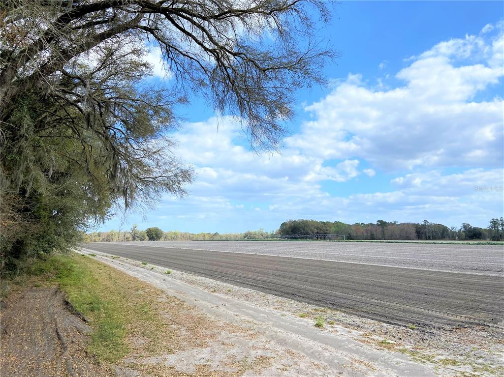 Have you always wanted to own a large tract of land? This property could be for you ---almost 39 acres of vacant land for sale on paved County Road 239, north of the City of Alachua and only 10 minutes to I-75. Property has been owned by current owners for many years and is currently being used for agricultural crops. However this large tract of cleared, rural property, with close proximity to town, could have great potential for multiple uses or a great home site in the country with plenty of room around you to call your own.  Call with questions or on how to make this beautiful land yours today!