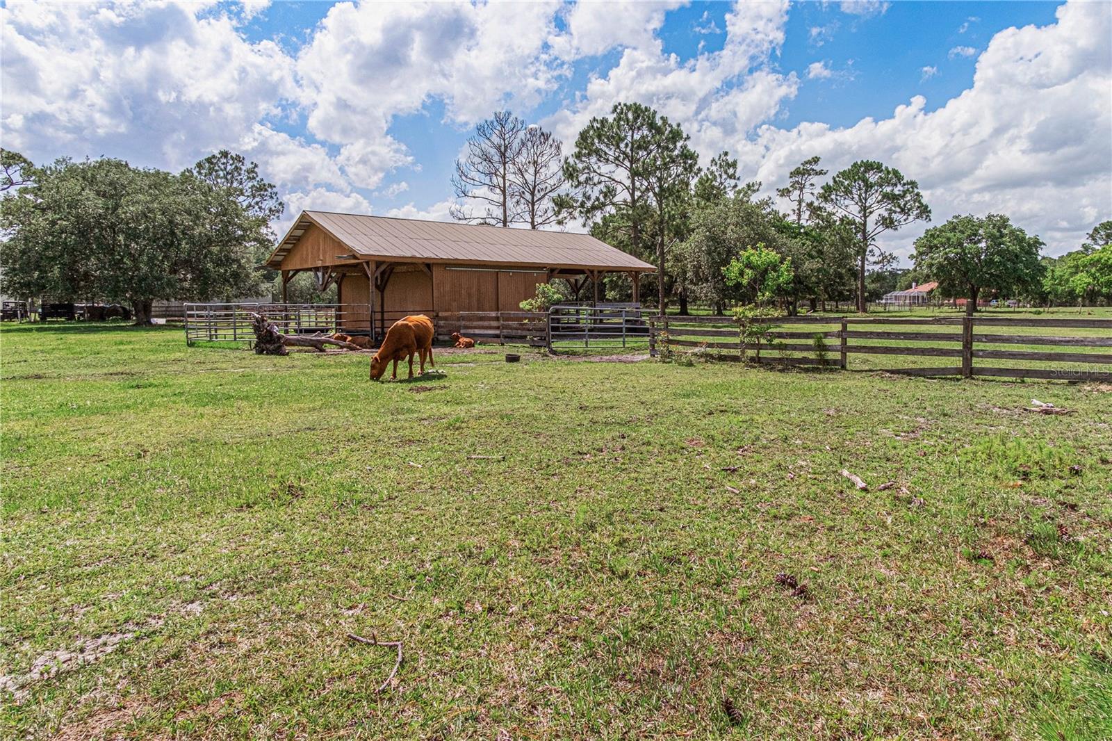 SADDLE BROOK FARMS - Residential