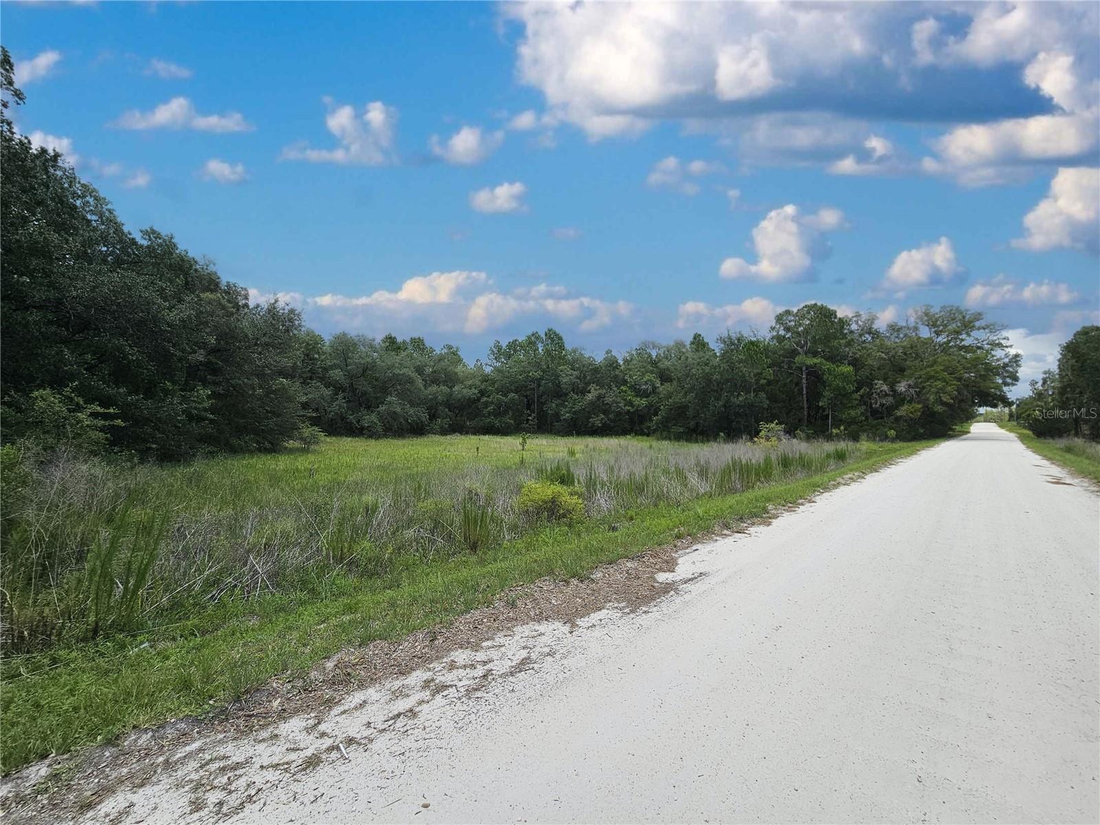 OVER 5 ACRES NEAR THE GOETHE STATE FOREST! Discover the freedom of country living on this unique 5.16 acre property comprised of two separate 2.58 acre parcels. Conveniently located less than ¼ mile off County Road 337 on a county-maintained limerock road, this property offers easy access while maintaining a peaceful rural setting. Zoned Agricultural/Rural Residential (A/RR), the land is suitable for your new site-built or manufactured home with no HOA restrictions and no time limits to build. Together, the parcels provide approximately 672 feet of road frontage and 333 feet of depth, offering flexibility for your dream homesite, family compound, or future investment. Located just minutes from the renowned Black Prong Equestrian Village and the vast trail system of the Goethe State Forest, this property is perfectly positioned for equestrians, nature lovers, and outdoor enthusiasts. Bring your animals, your toys, and your vision—make the move to the country lifestyle today!