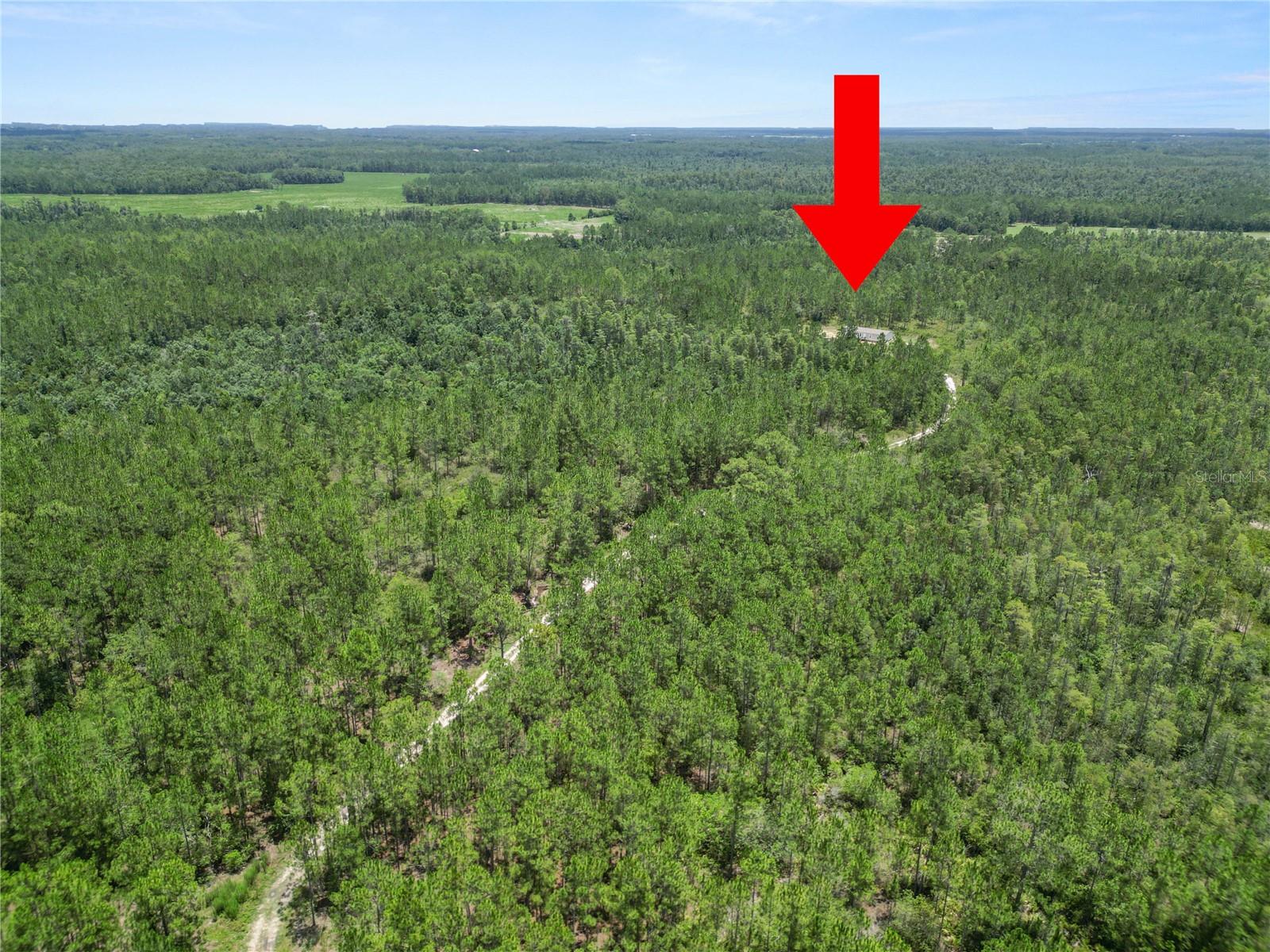 NOT IN SUBDIVISION - Residential