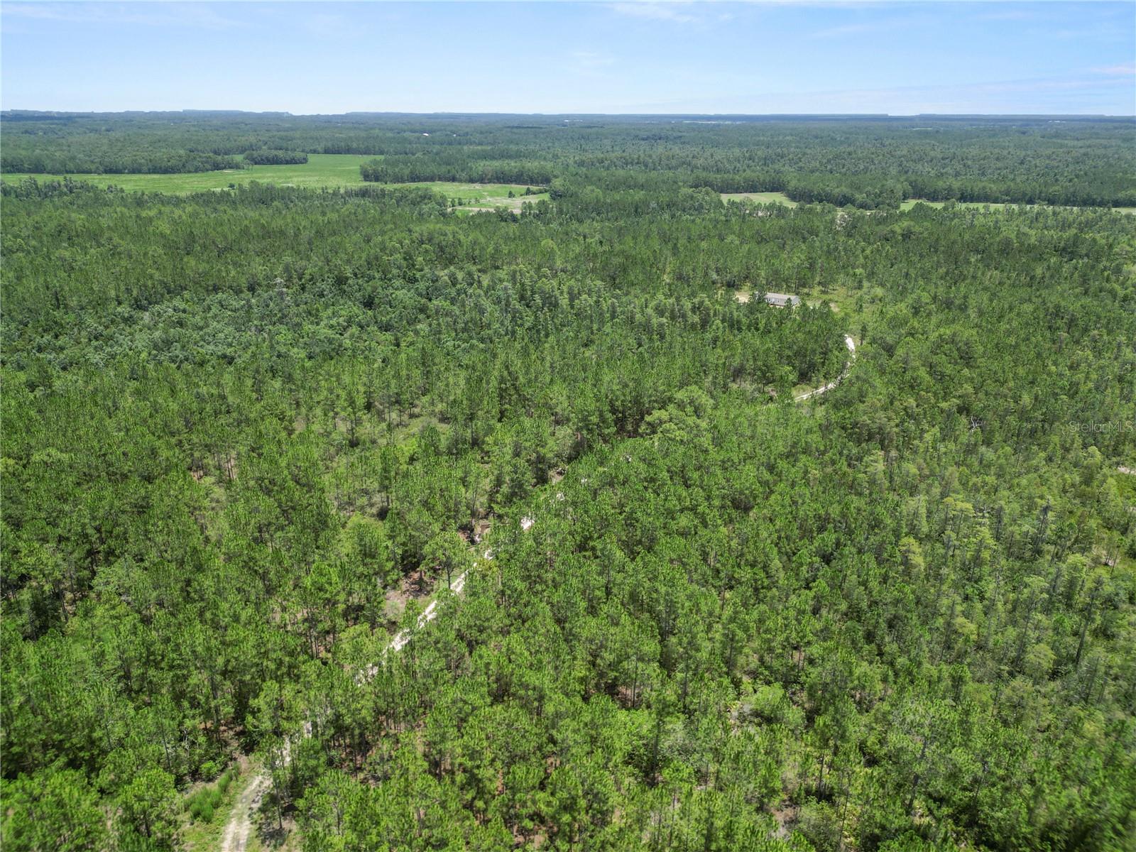 NOT IN SUBDIVISION - Residential