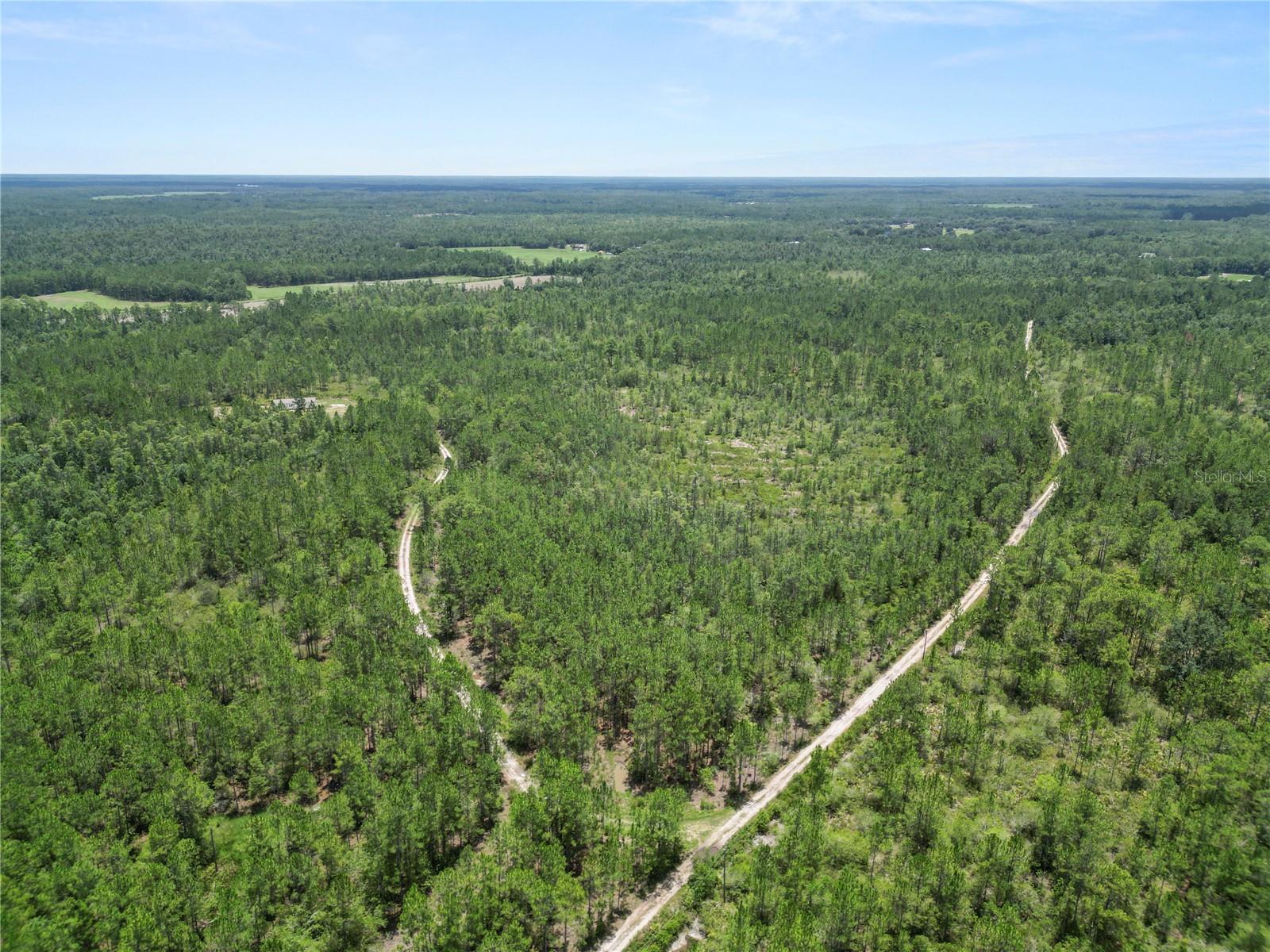 NOT IN SUBDIVISION - Residential