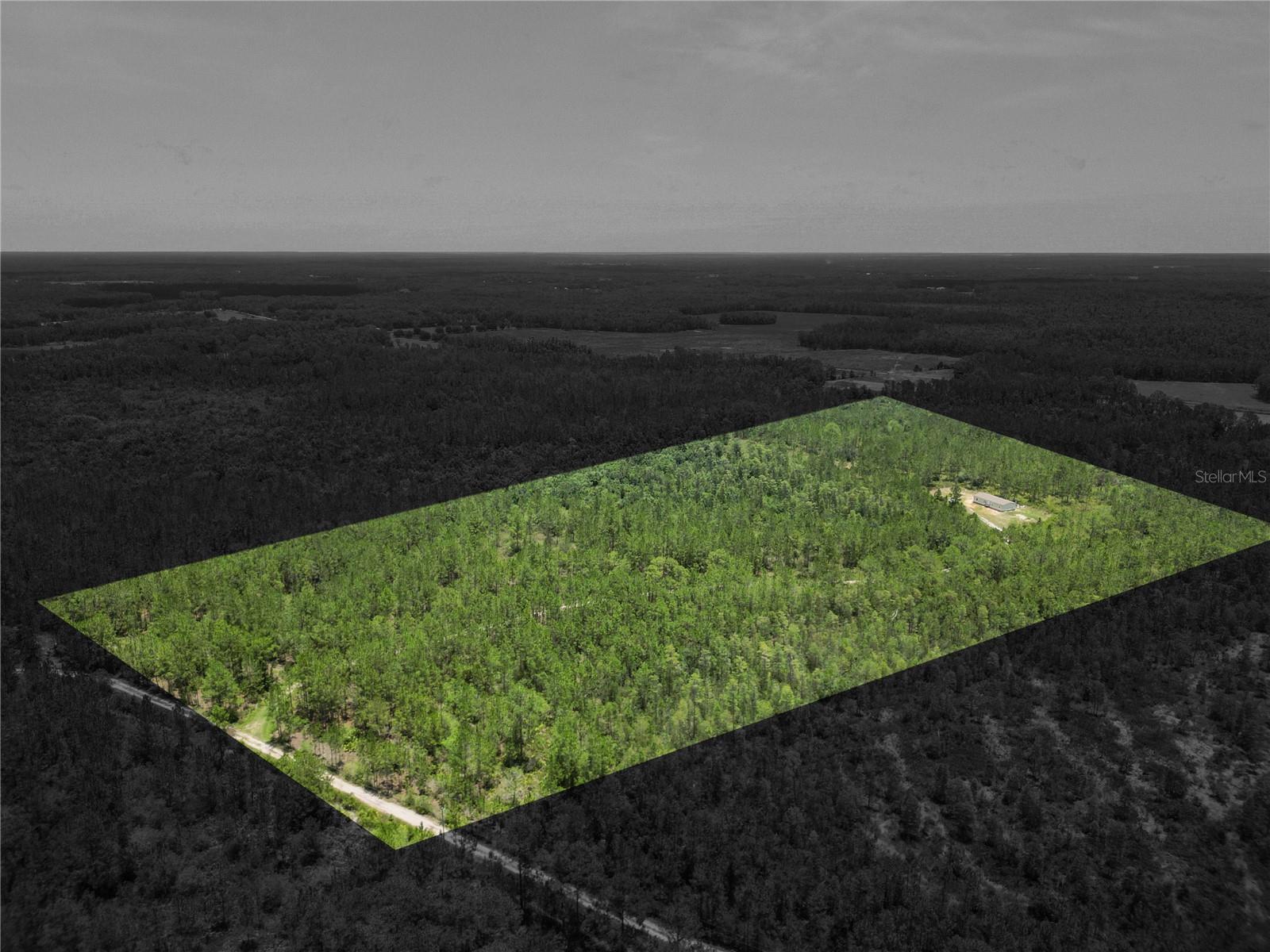 NOT IN SUBDIVISION - Residential