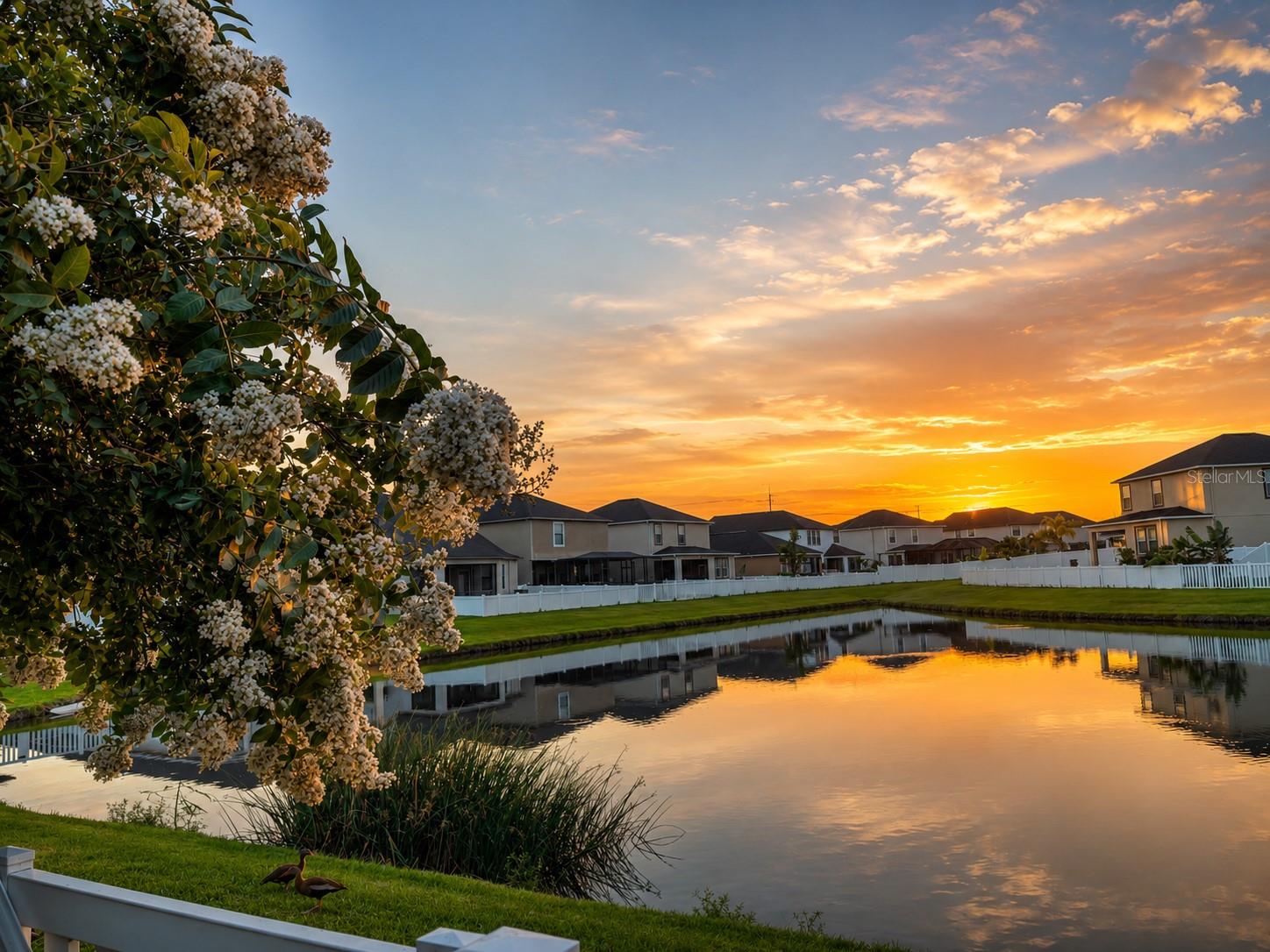 VILLAGES/TRINITY LAKES - Residential