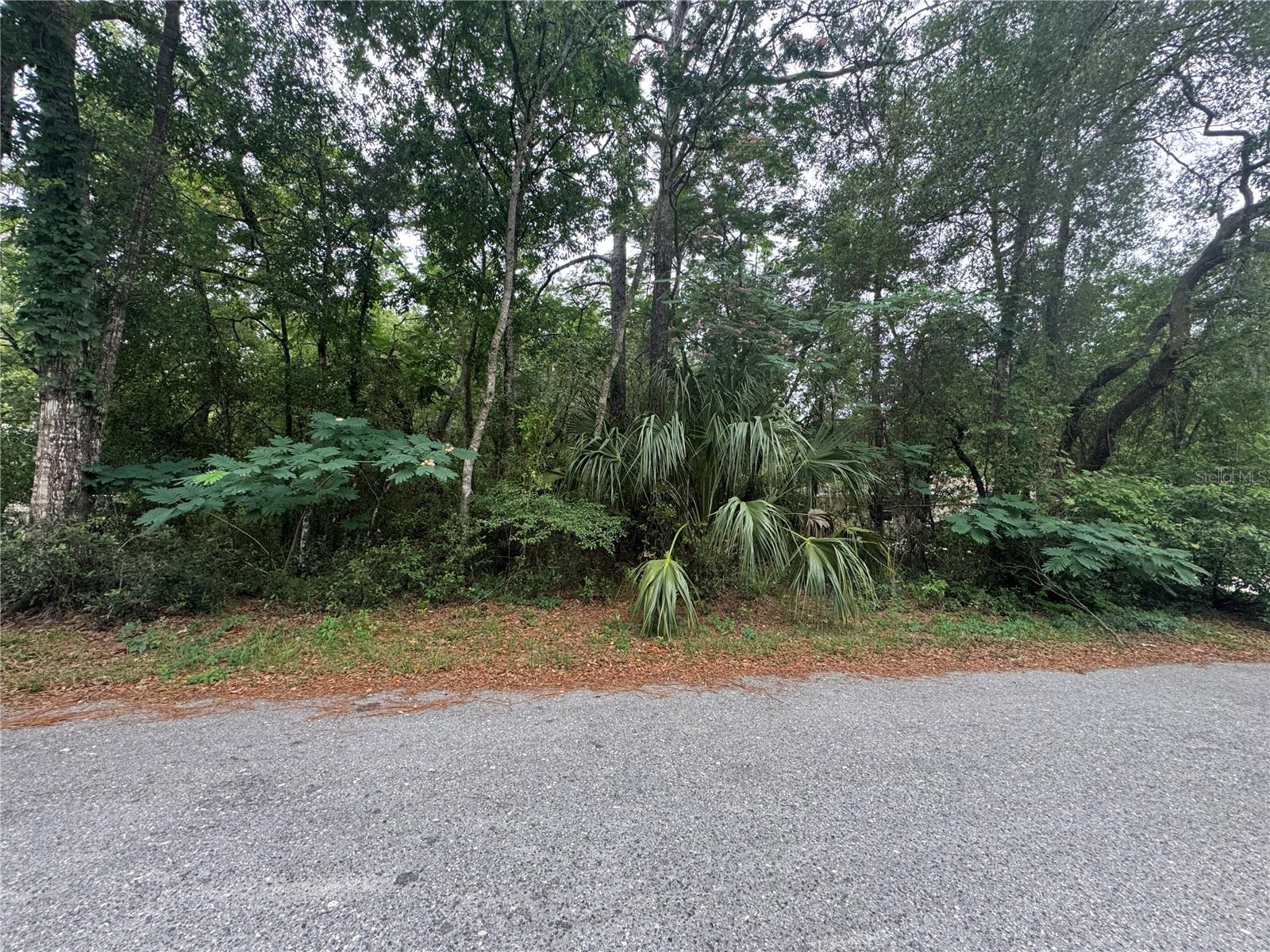 Bring your blueprints and big dreams! This .22 acre parcel in Inverness is ready for its glow up. With roughly 80 feet of frontage on a paved street, you’ve got room to spread out, build up, and do your thing. Whether that’s a cozy home base, a future winter retreat, or the ultimate backyard BBQ kingdom.Tucked into an area with that smalltown Florida vibe, this wooded lot offers natural privacy, no HOA to boss you around, and a central location with easy access to town, lakes, and outdoor adventures. Public utilities nearby make building a breeze. So go ahead, plant roots, pitch plans, and make something awesome. This corner of Citrus County is just waiting for someone like you.
