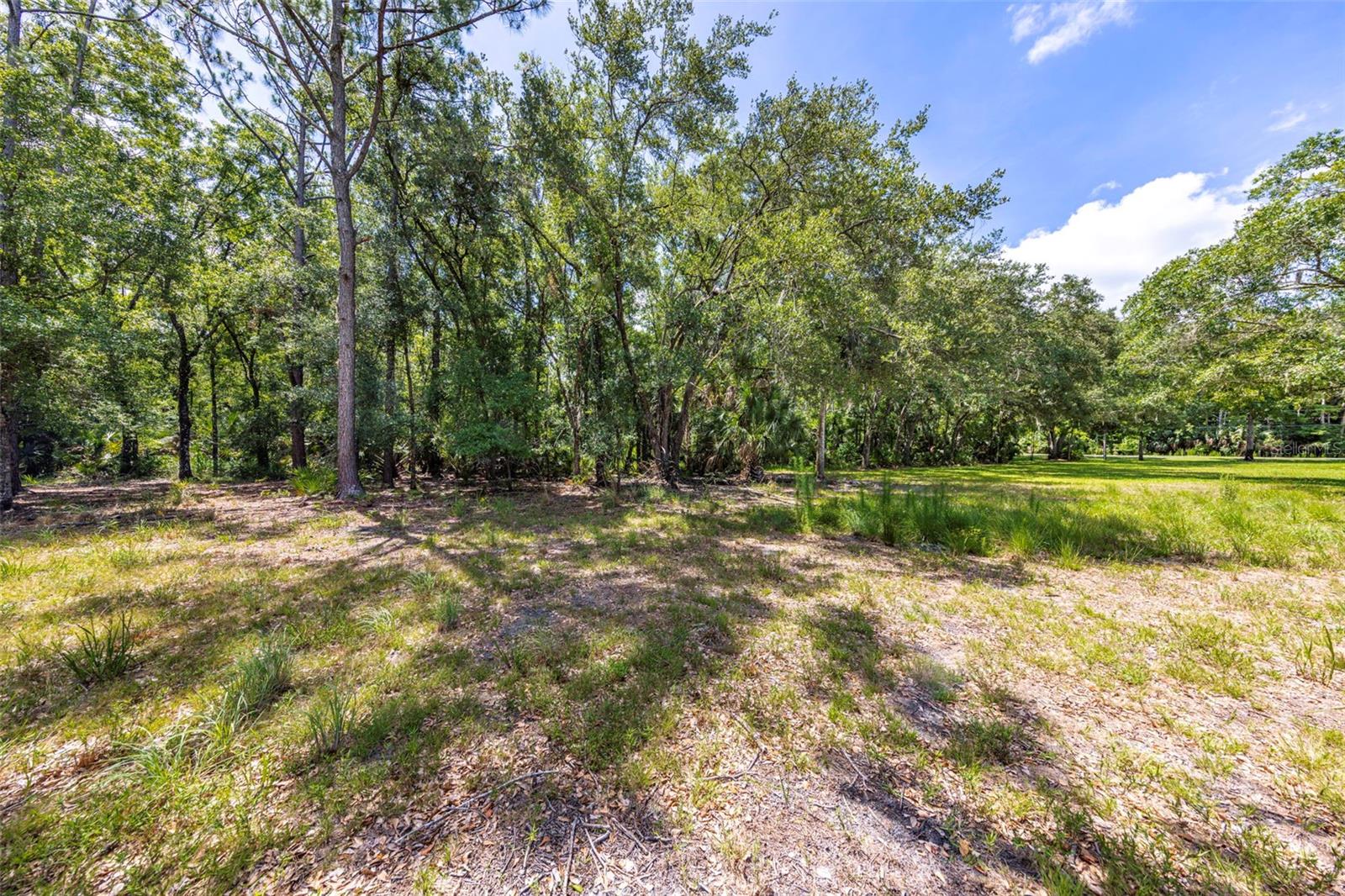 HOMESTEADS SADDLEWOOD PH 02 - Land