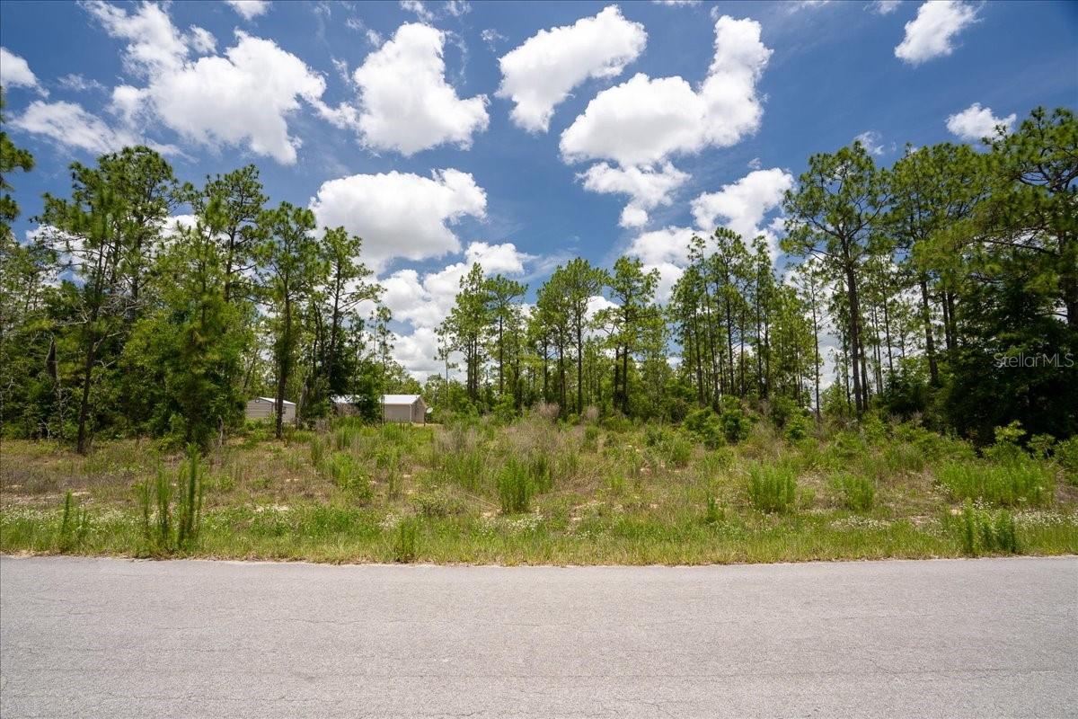 WILLISTON HYLNDS GOLF & C CLUB ESTATE - Land