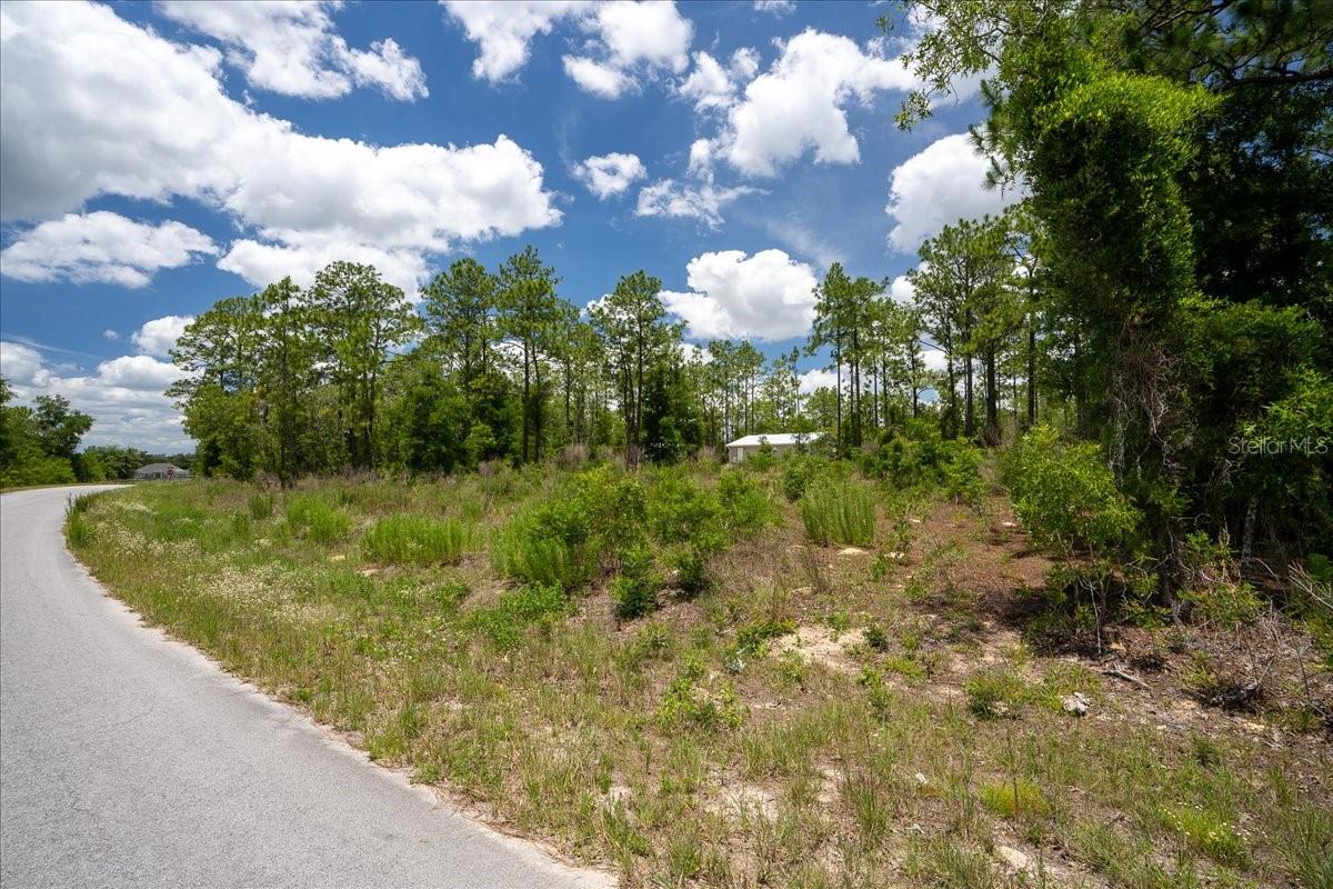 WILLISTON HYLNDS GOLF & C CLUB ESTATE - Land