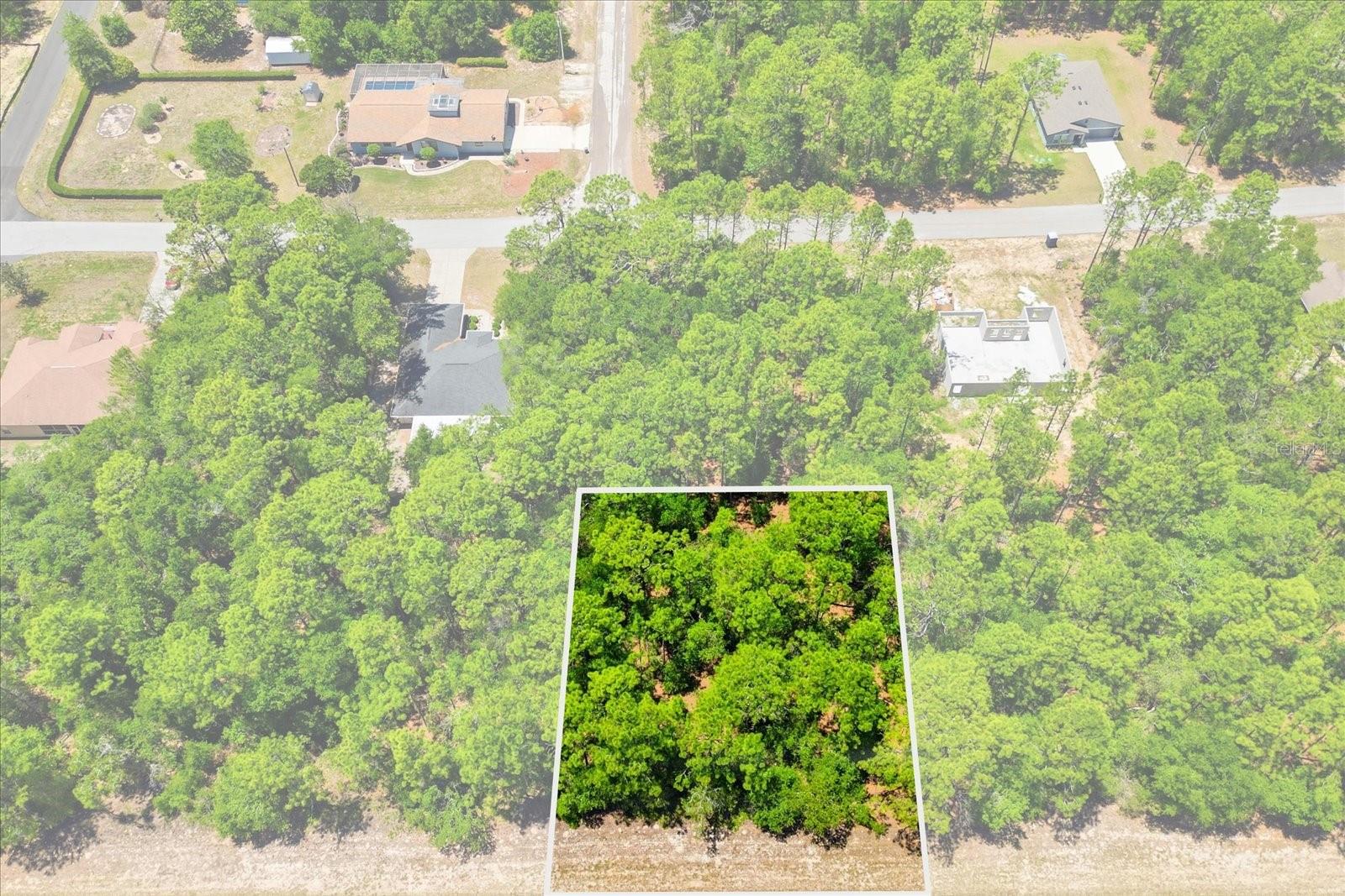 CITRUS SPGS UNIT 21 - Land
