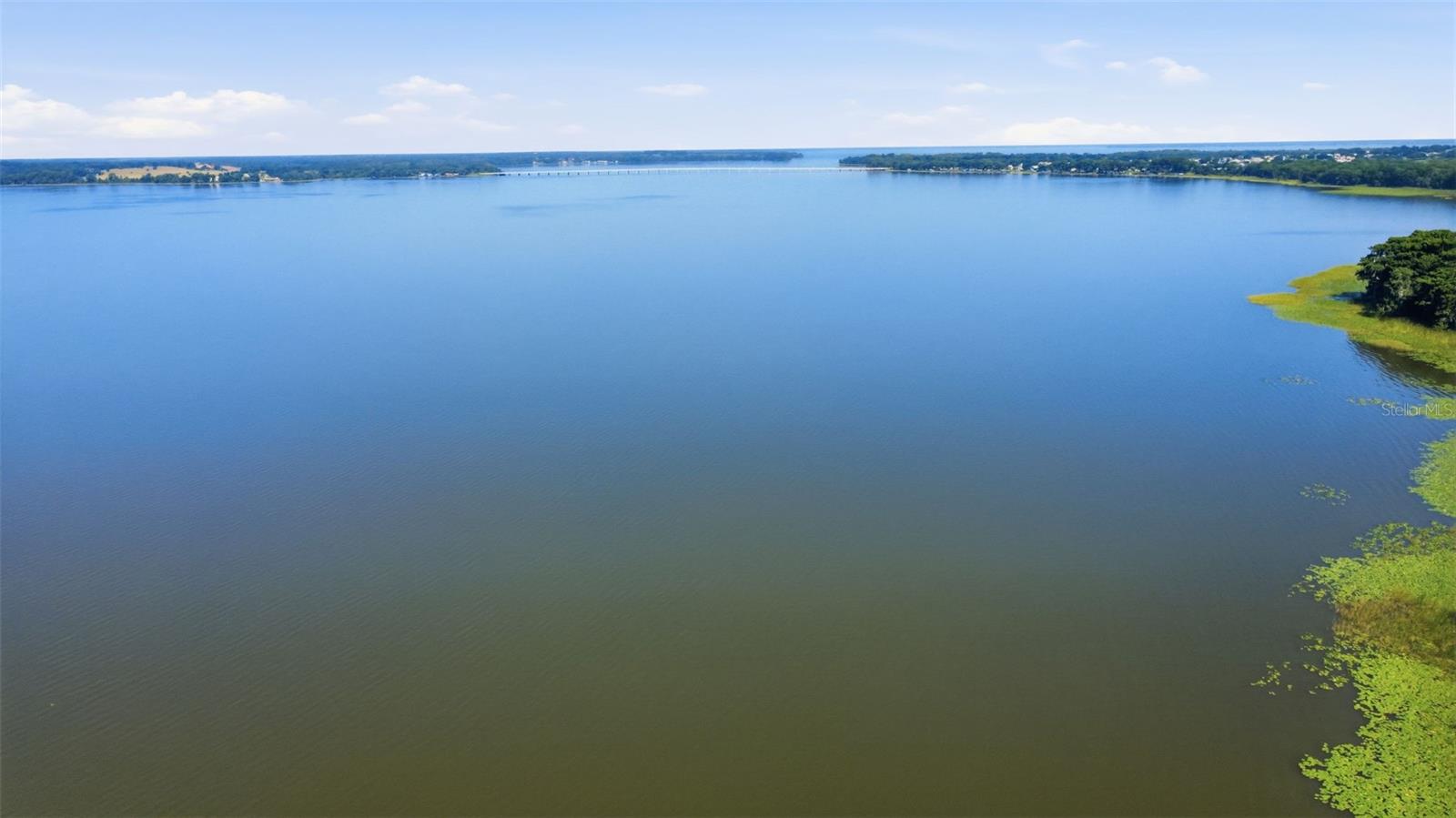 LAKE HARRIS SHORES - Residential