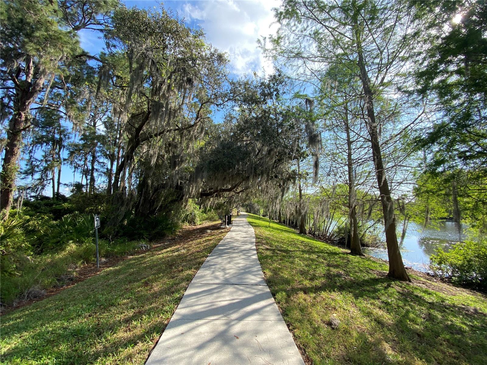 BAHAMA BAY - Residential