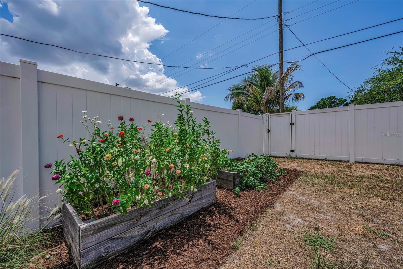 TERESA GARDENS - Residential