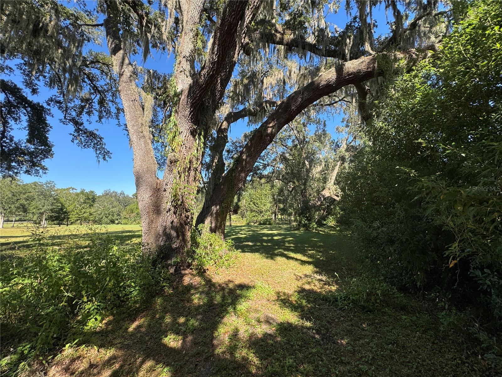 IVEY RUN ESTATES - Land