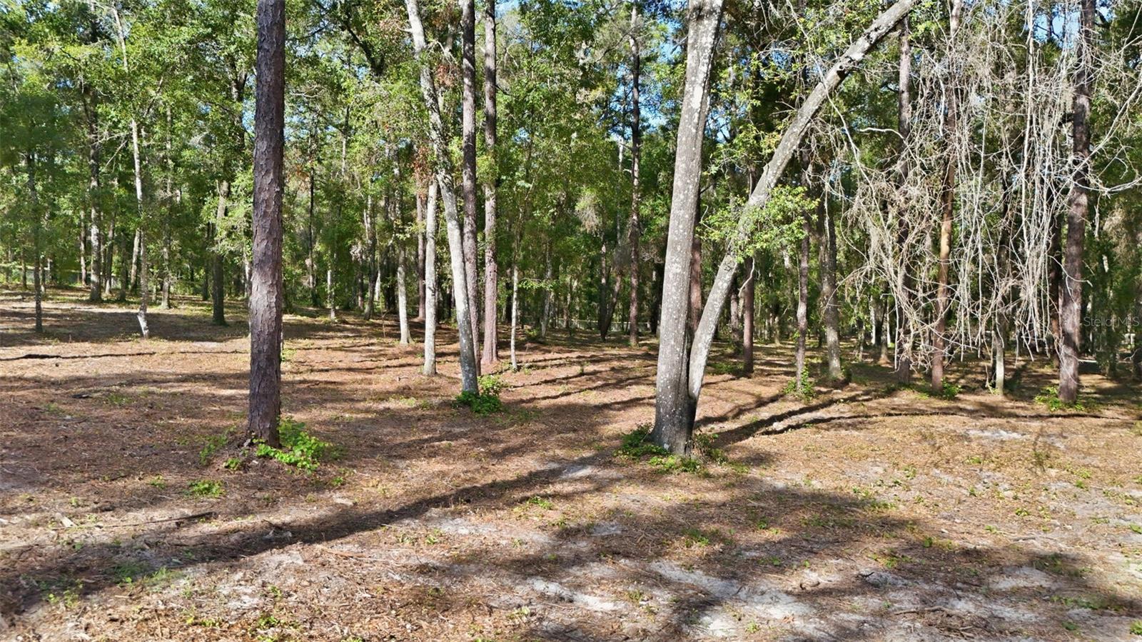 INVERNESS HIGHLANDS WEST ADD 01 - Land