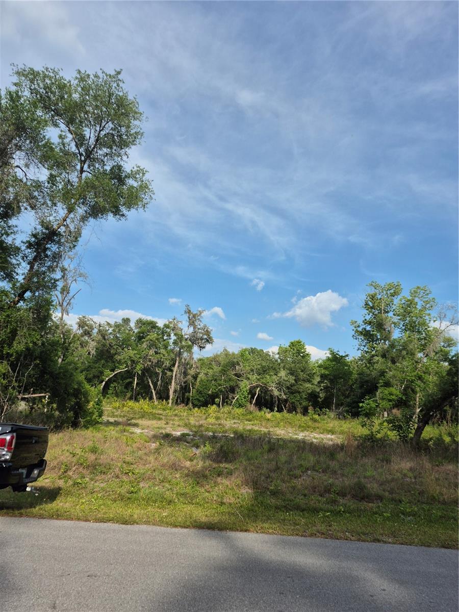 Discover you slice of paradise with this 1.16- acre property-spacious, peaceful, and ready for your dream home, investment, or getaway retreat. located in a beautiful natural setting, this land offers endless potential with the added bonus of a fully functioning water well  already on site saving you time, expense, and hassle.
