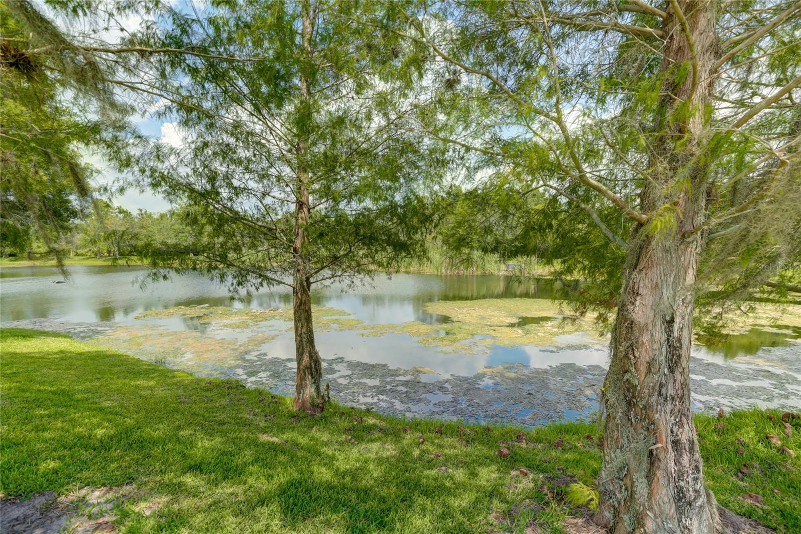 WILLOWBROOK PH 8 - Residential Lease