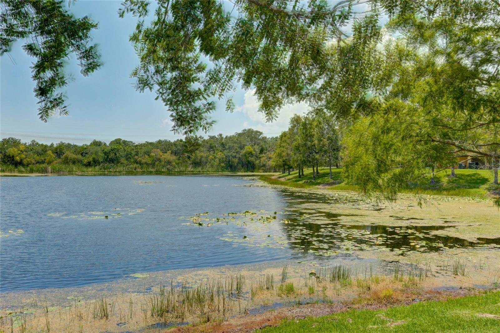 WILLOWBROOK PH 8 - Residential Lease