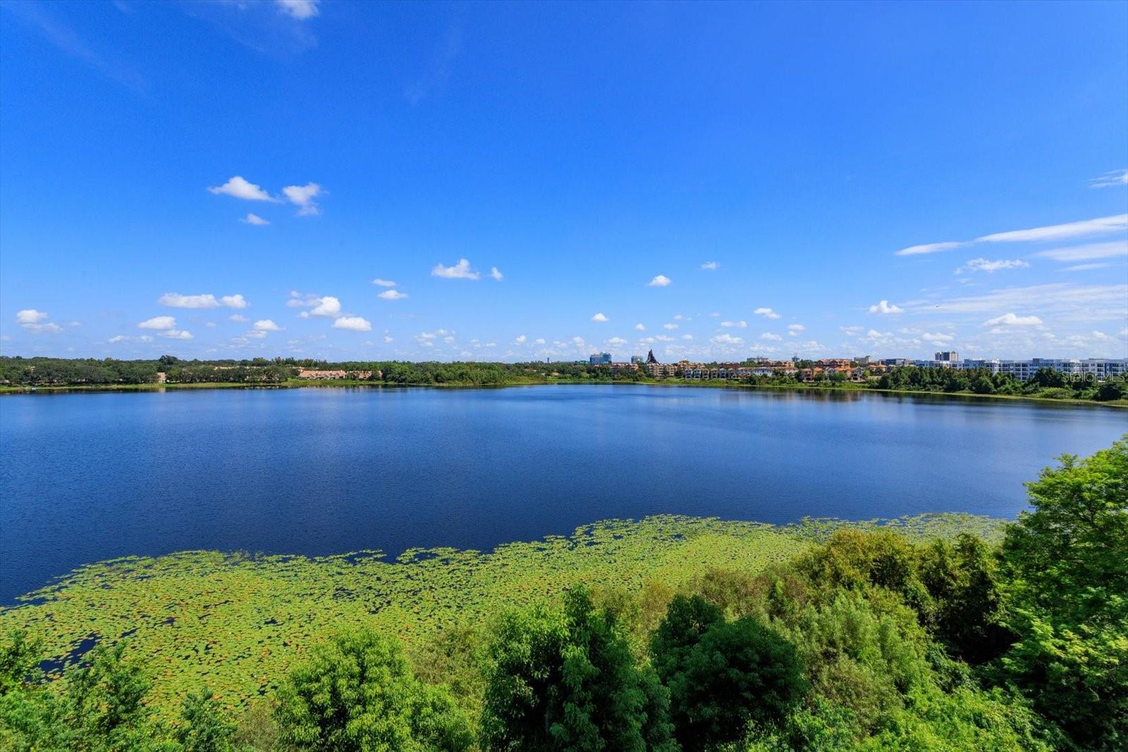 BAY VIEW RESERVE CONDO - Residential