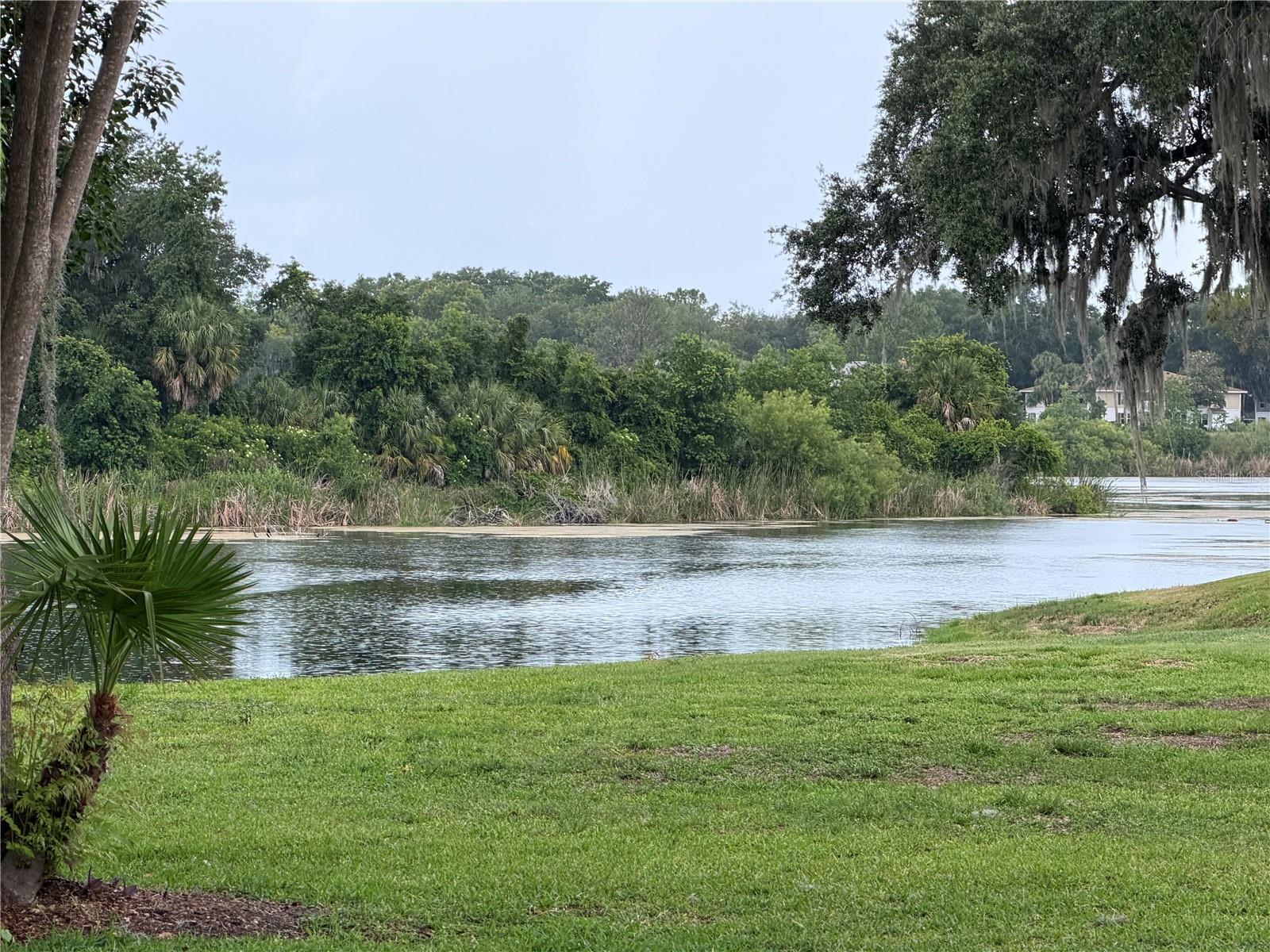 TWIN LAKES VILLAGE WEST CONDO - Residential