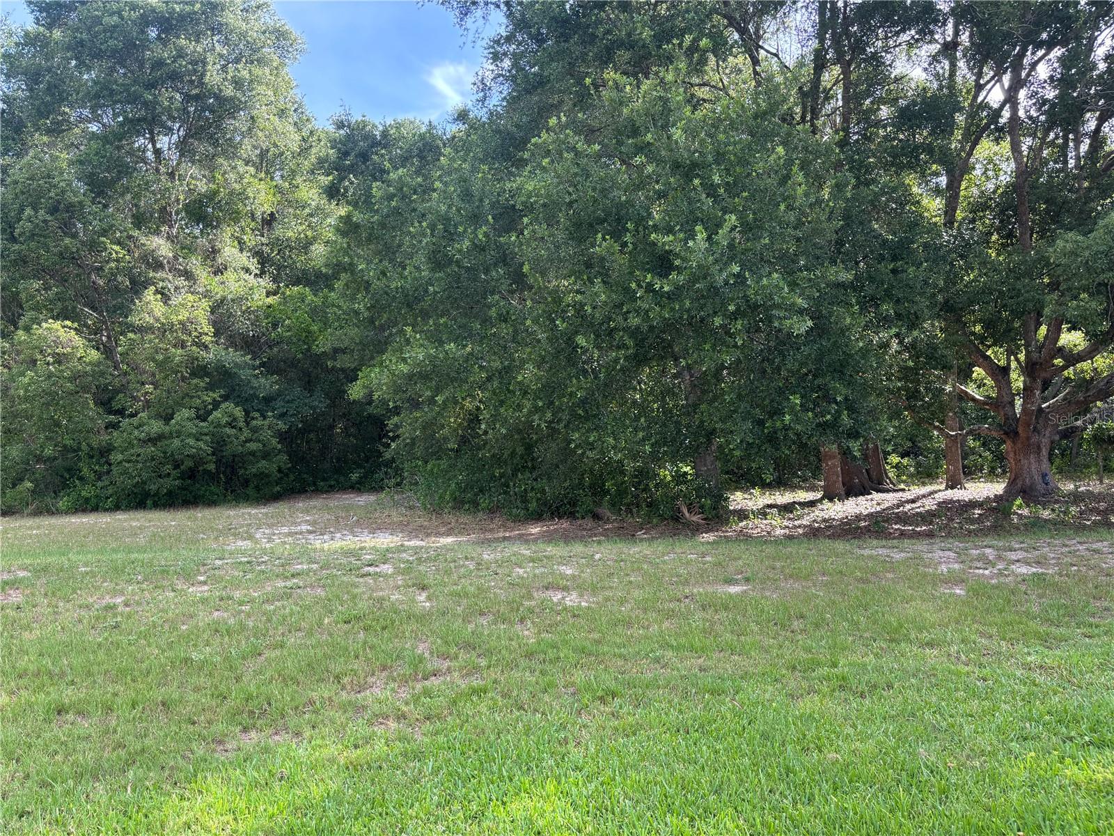 ZELLWOOD STATION COOP MH PARK - Residential