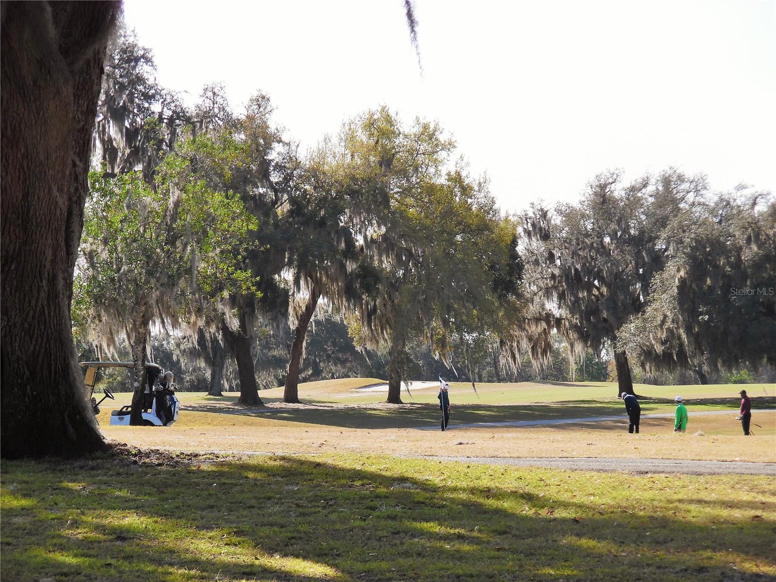 CONTINENTAL COUNTRY CLUB - Residential